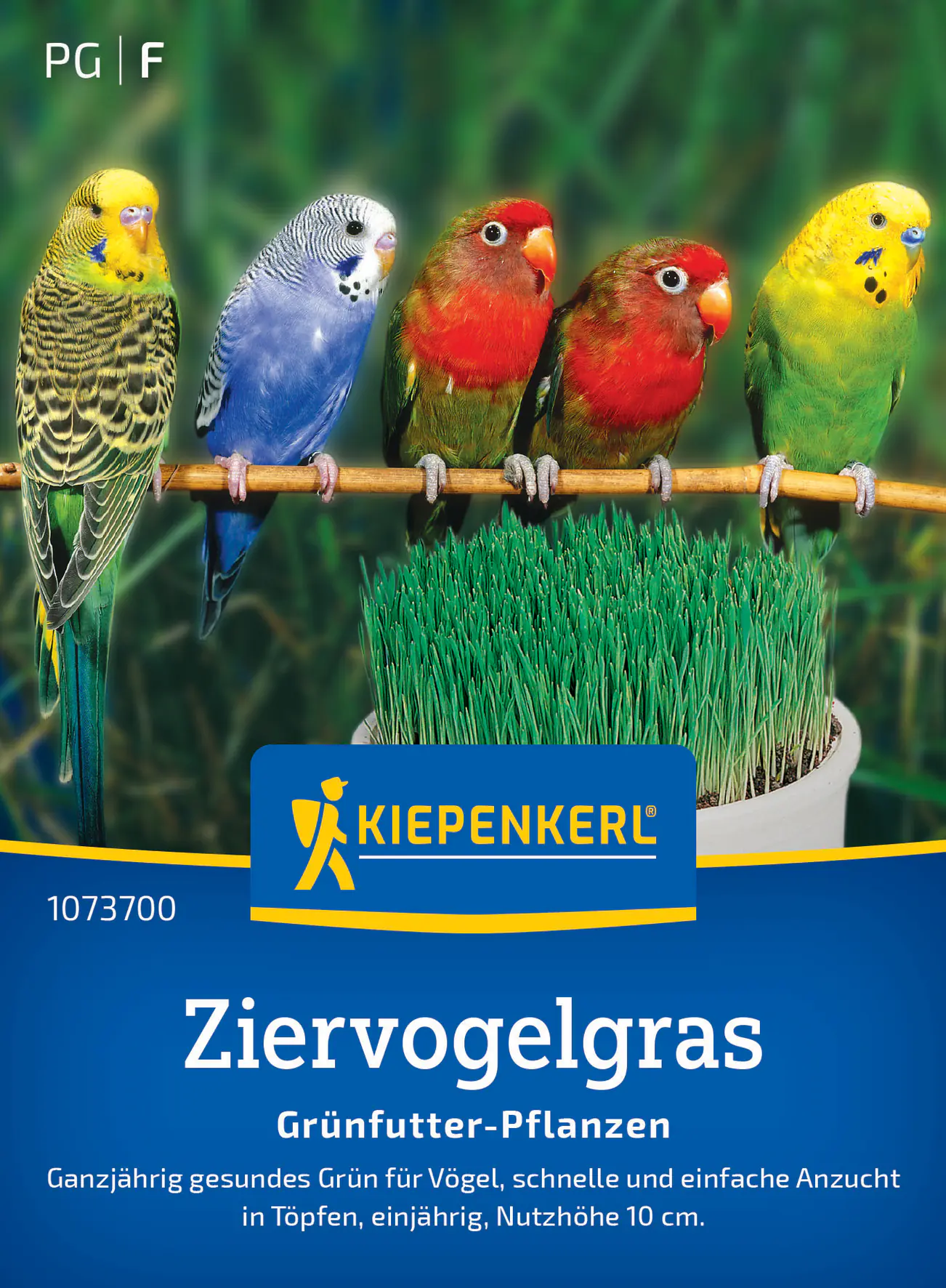 Kiepenkerl Rasensamen Ziervogelgras Frischgrün Mischung für ca. 1 m²
