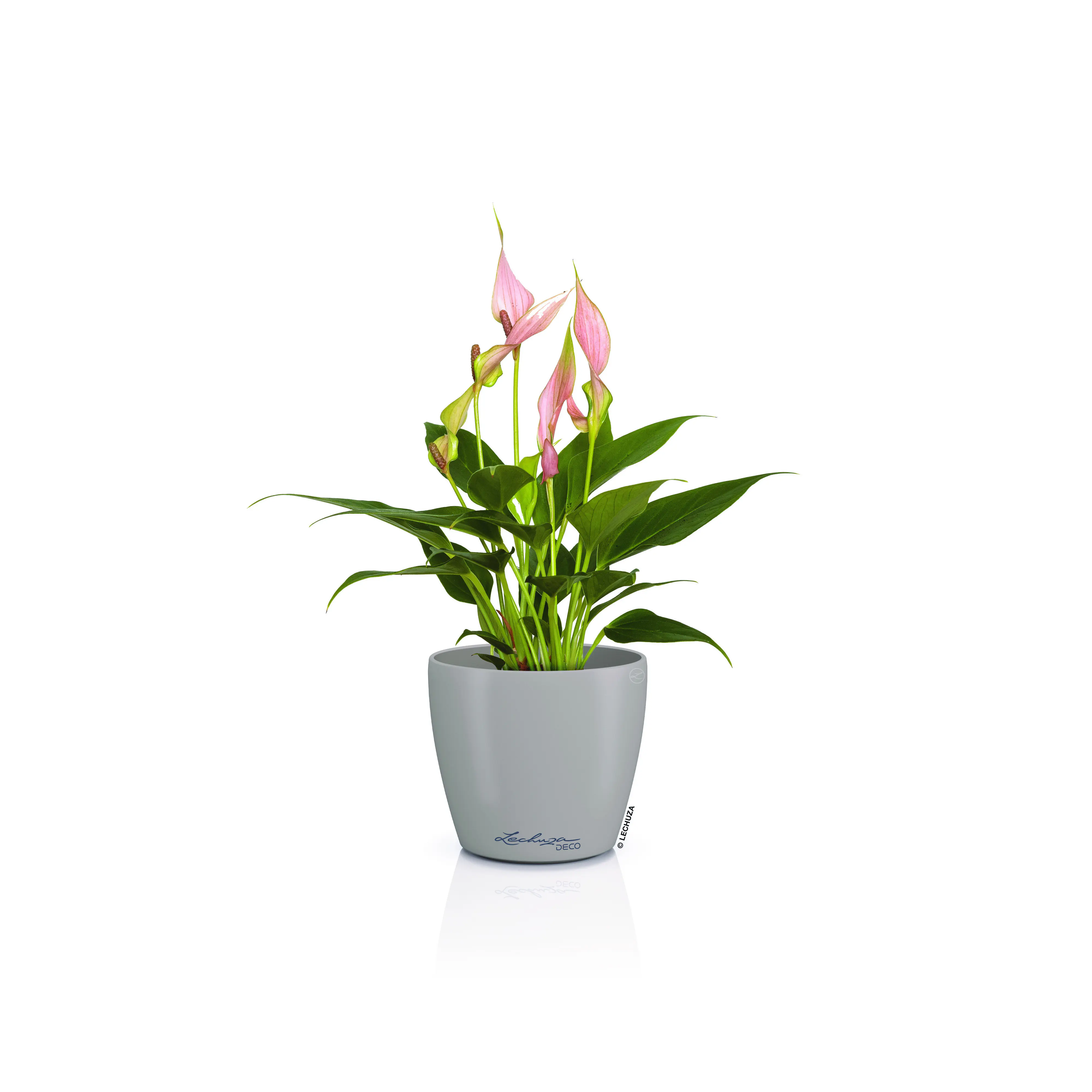Lechuza Pflanztopf Deco 12 Ø 13,2 x 11,8 cm sandbraun