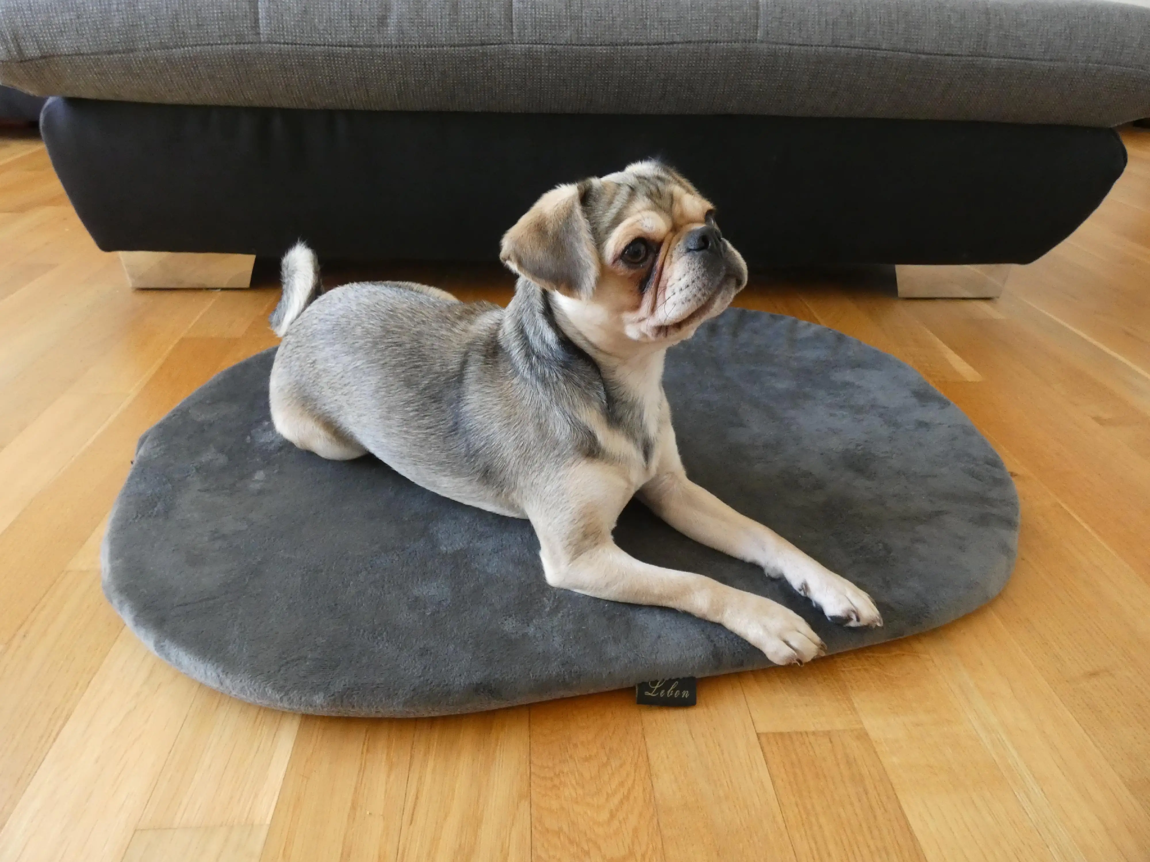 Lebon Liegematte Hugo eckig L 80 x B 55 cm grau