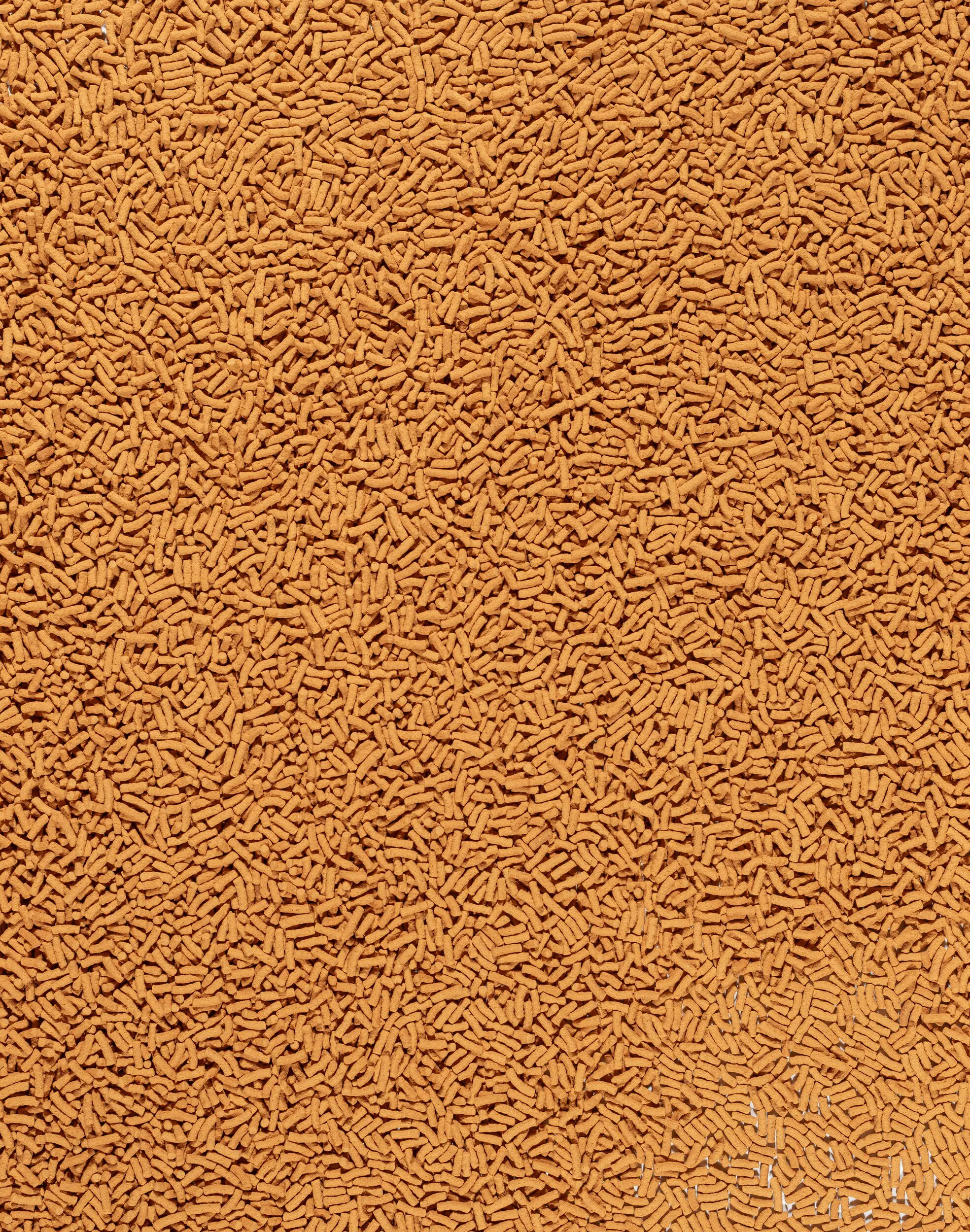 Tetra Teichfutter Pond Colour Sticks 4 l