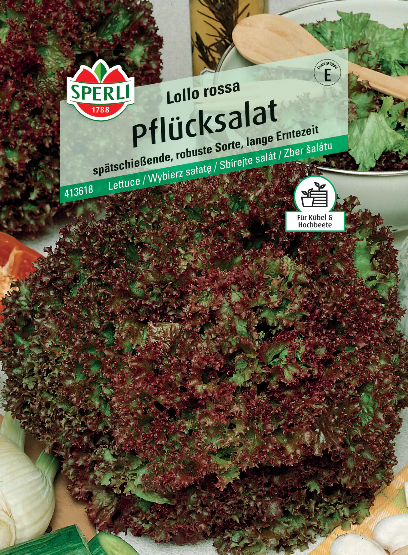 Sperli Pflücksalat Lollo rossa Sperli Pflücksalat Lollo rossa