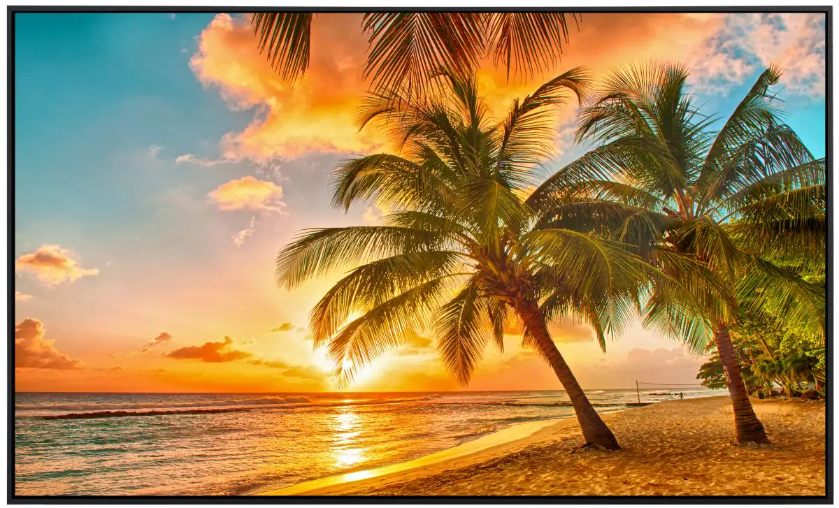 papermoon Infrarotheizkörper EcoHeat 60x120 cm 1000 Watt, Barbados Palmen