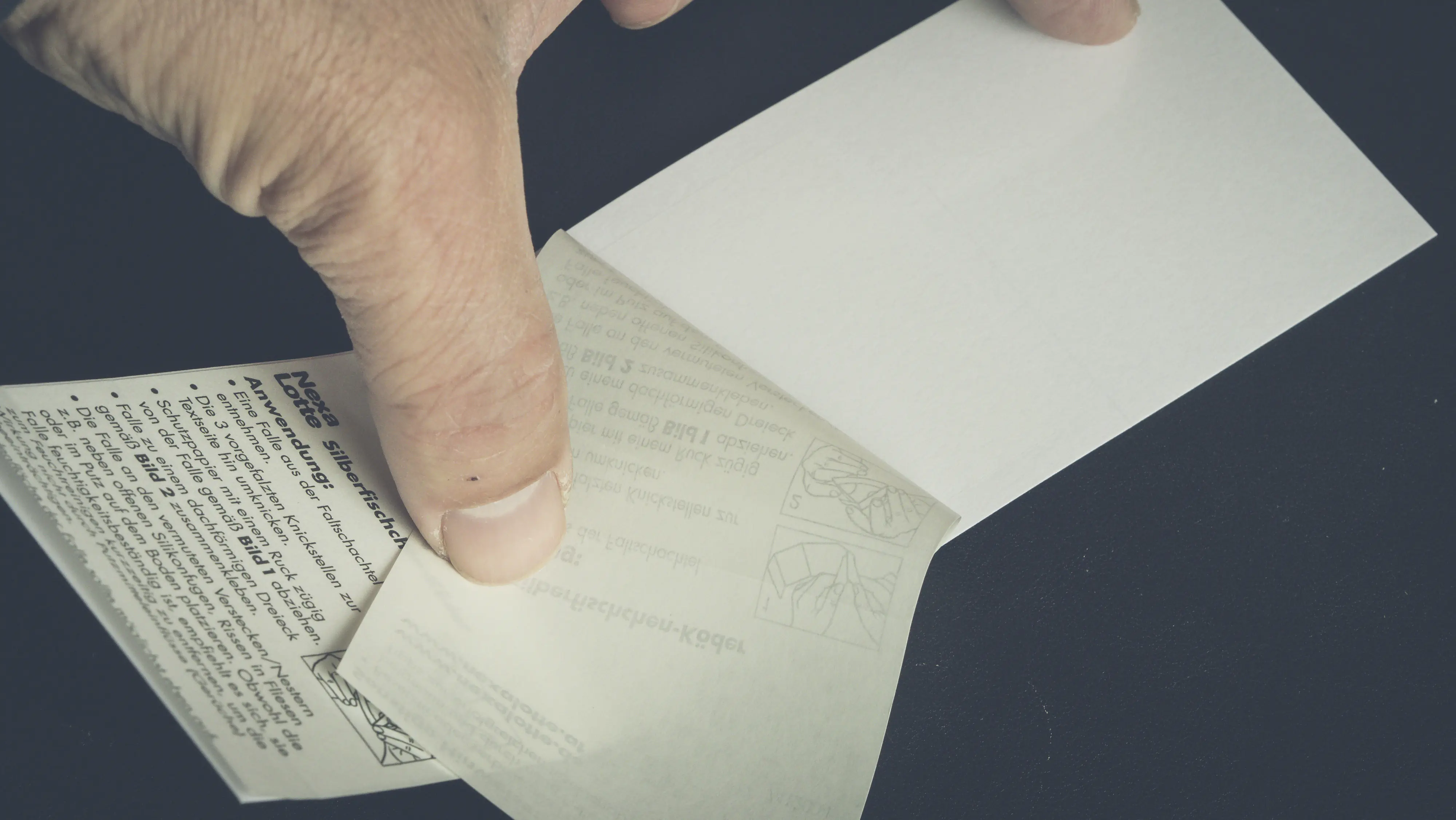 Nexa Lotte Silberfischchen-Falle 3 Stück