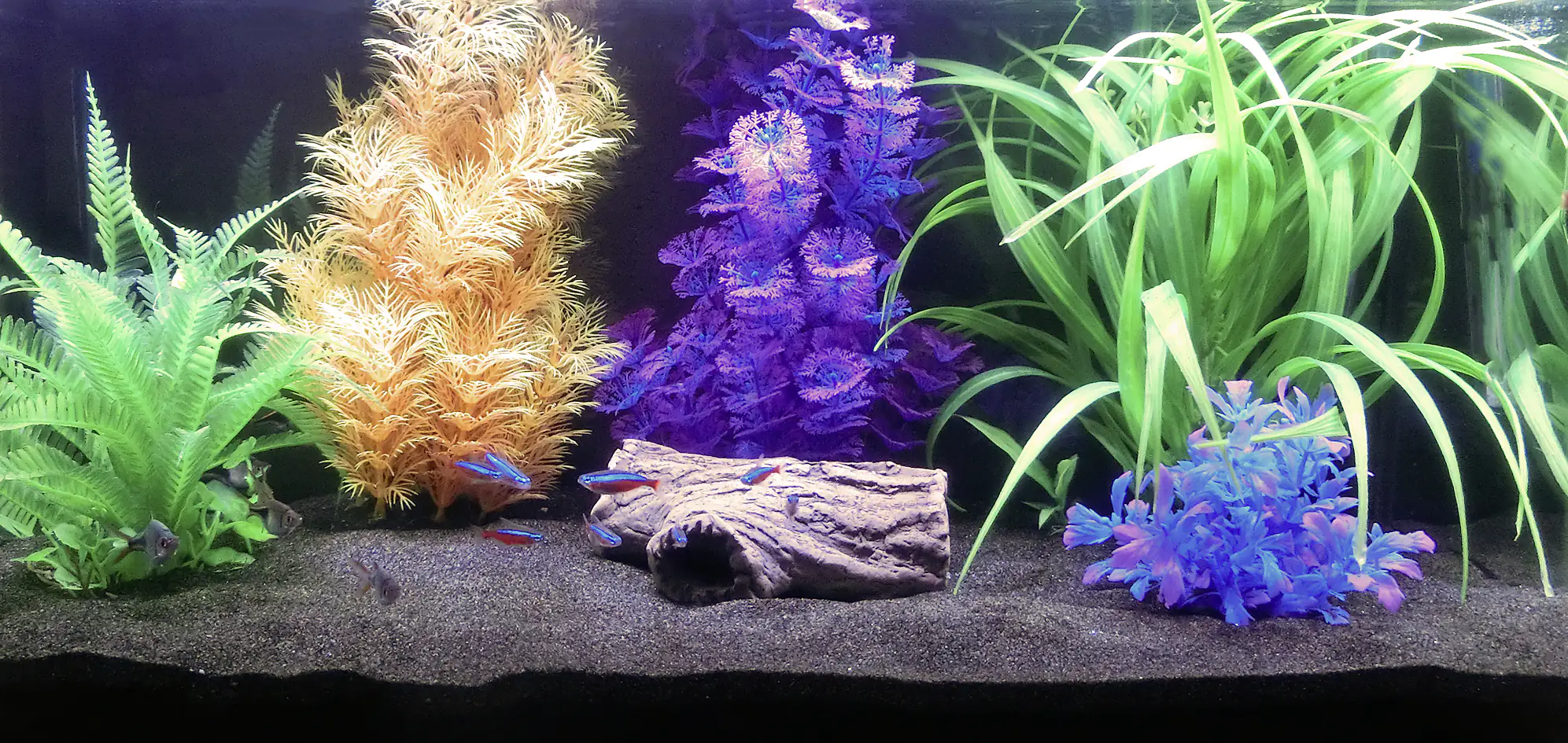 Orbit Aquarien Glanz-Sand schwarz 4 kg Orbit Aquarien Glanz-Sand schwarz 4 kg