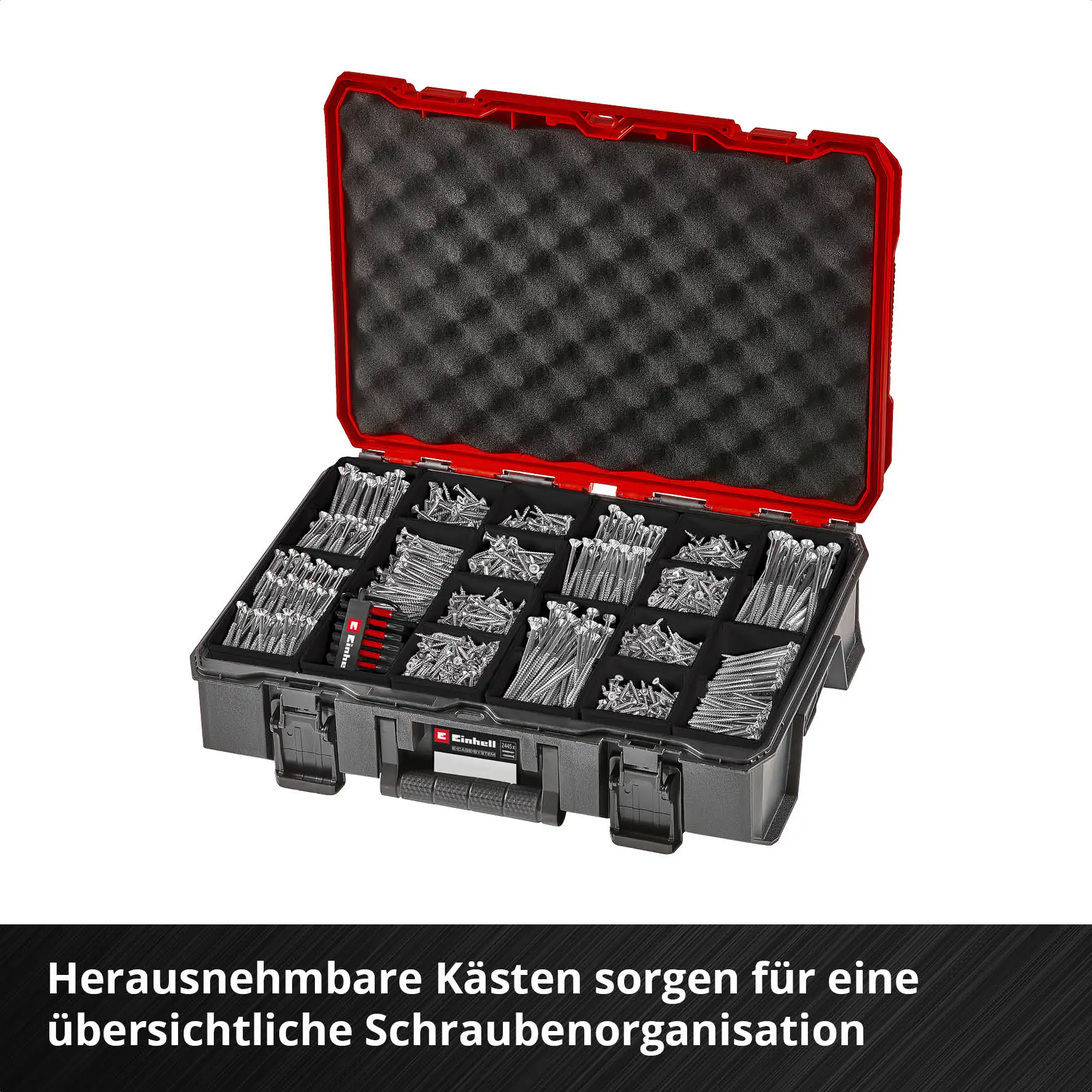 Einhell Schraubenset mit Bits in E-Case-Koffer 2.445-teilig