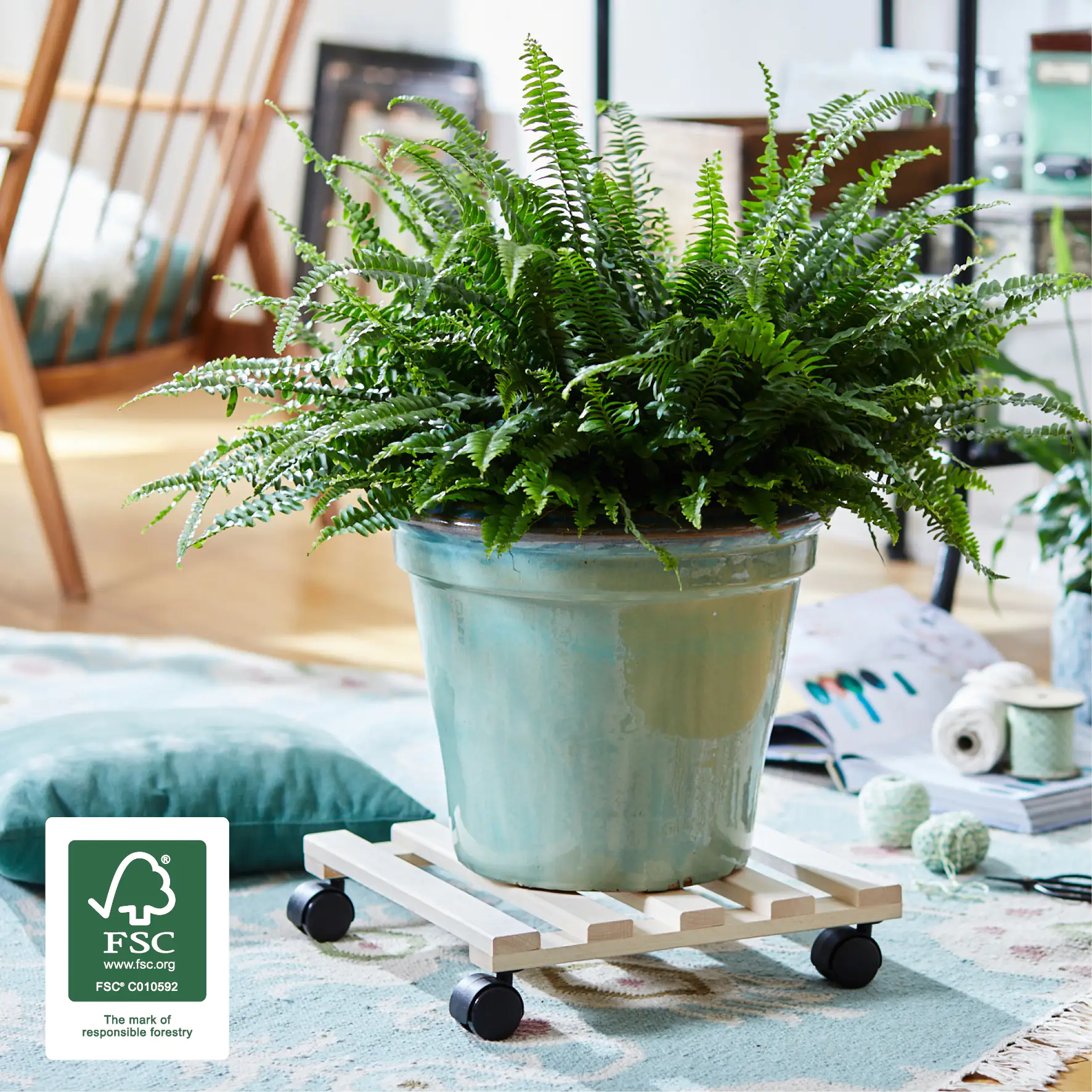 WAGNER Pflanzenroller Buche eckig 34 x 34 cm Tragkraft bis max. 150 kg