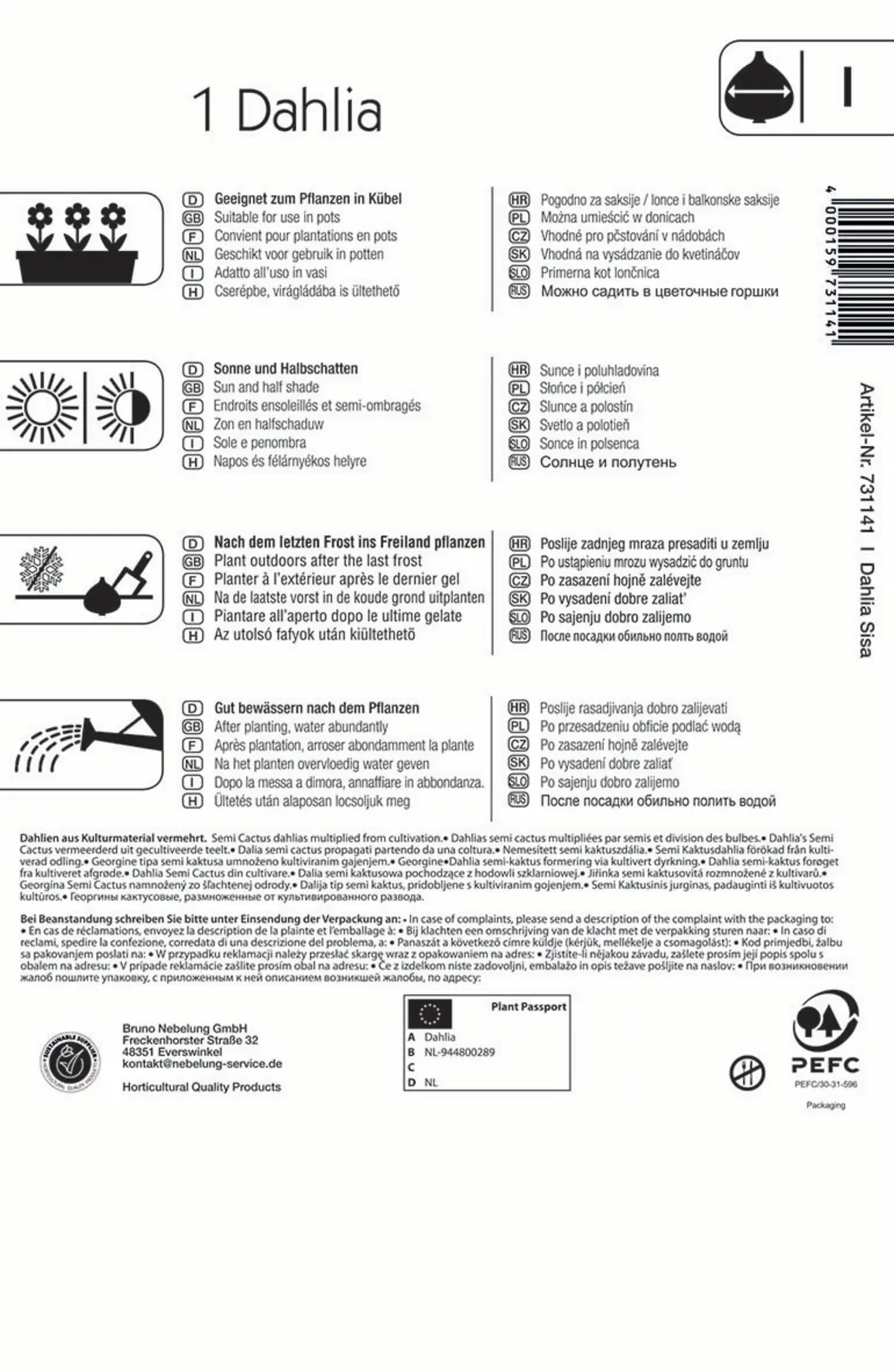 Kiepenkerl Beet- & Kübel-Dahlie Sisa
