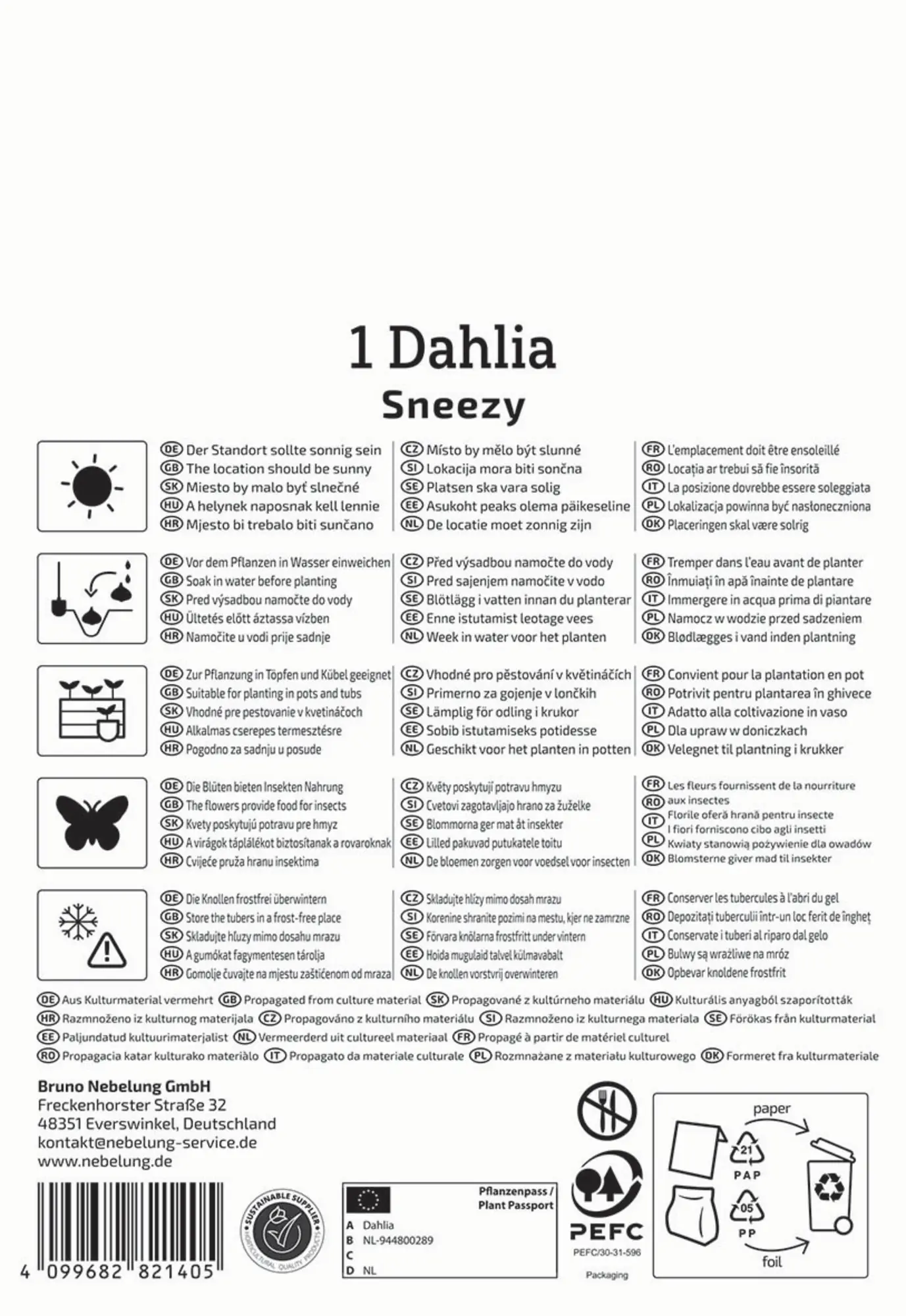 Kiepenkerl Frühjahrsblumenzwiebel Einfachblühende Dahlie Sneezy 1 Stück