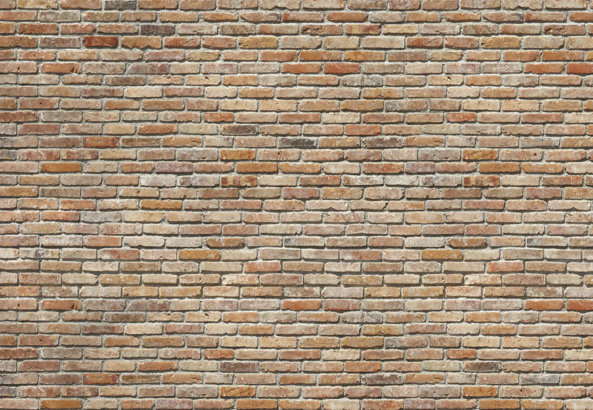 Komar Fototapete Backstein 368 x 254 cm 