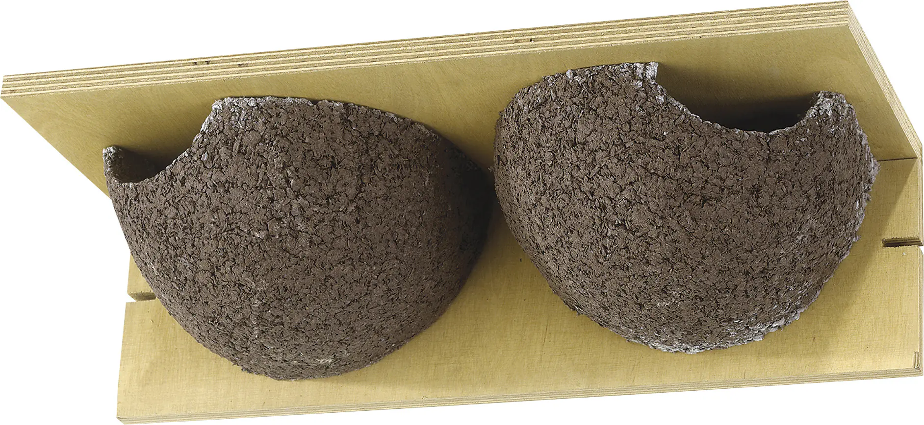 Wildlife Kunstnistkasten Mehlschwalbe Cancun doppelt natur