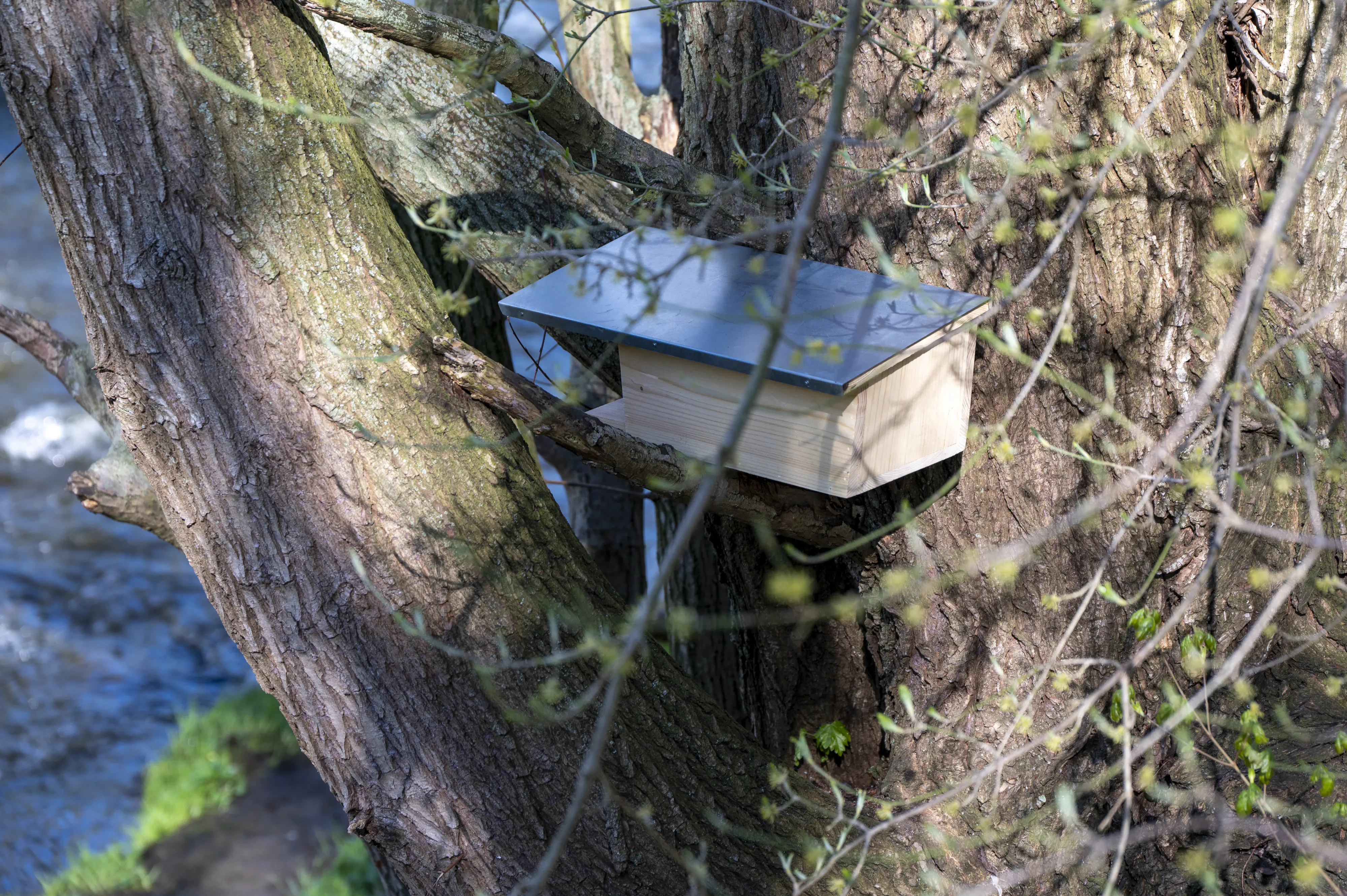 Dobar Nistkasten Bachstelze 48 x 14 x 15 cm natur