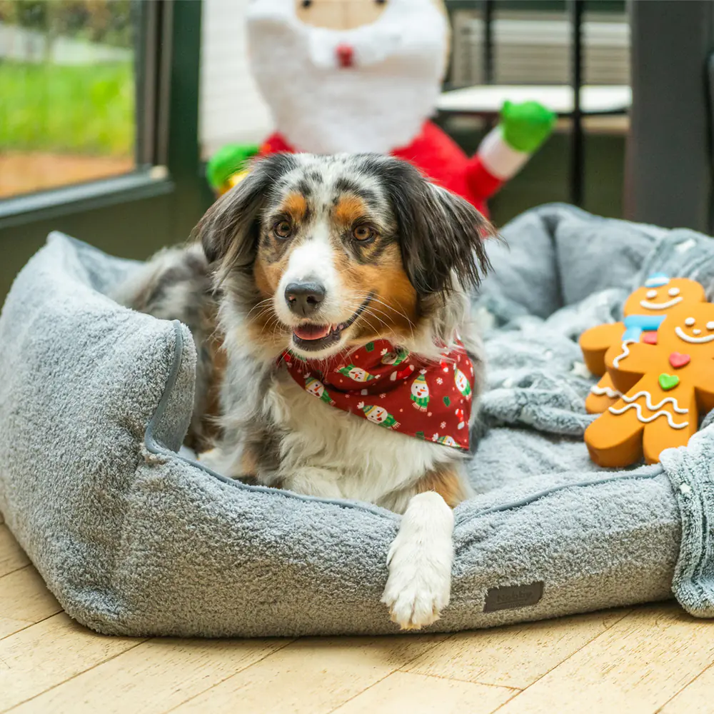 Nobby Xmas Hundehalsband mit Tuch Schneemann