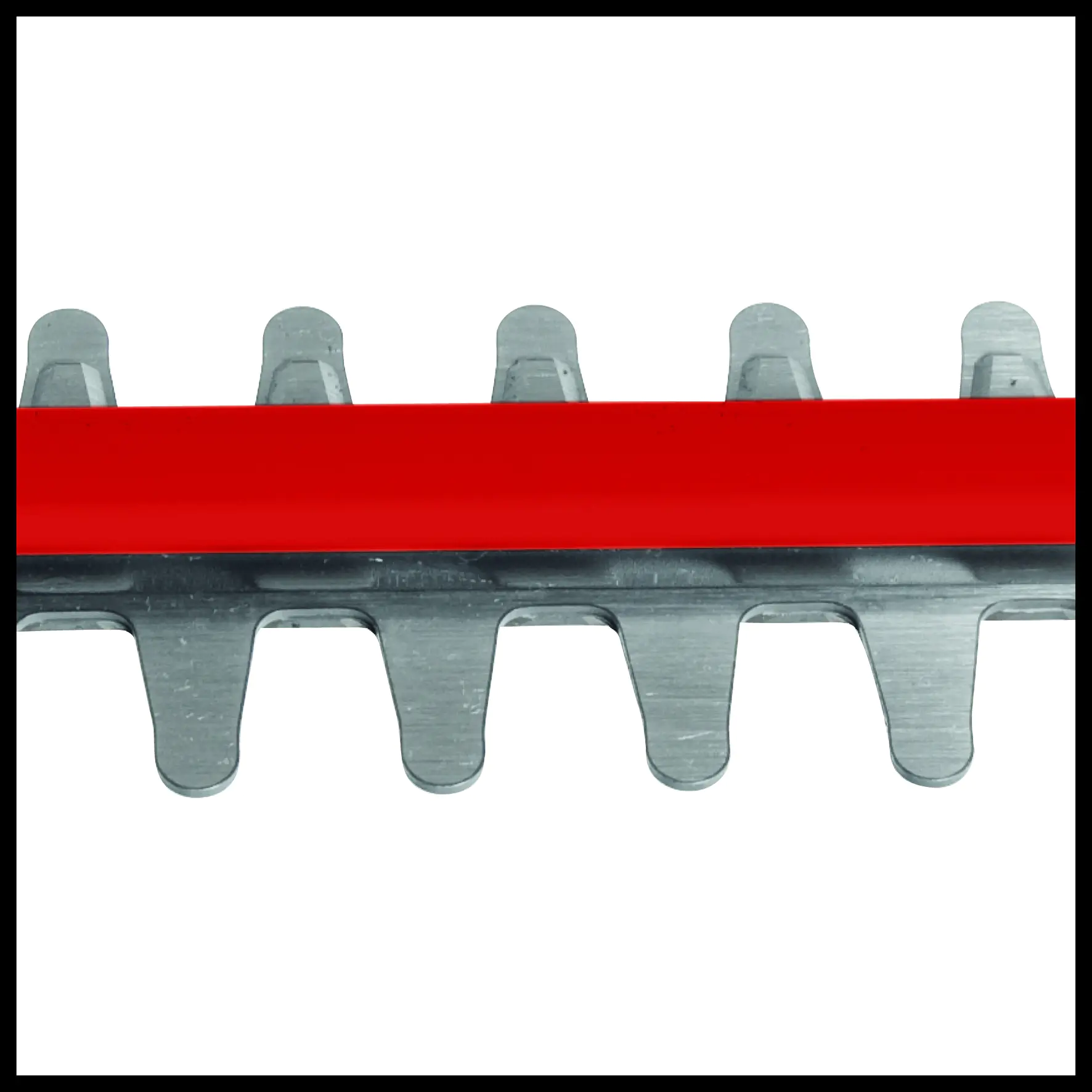 Einhell Akku-Heckenschere ARCURRA 18/55 55 cm Schnittlänge Einhell Akku-Heckenschere ARCURRA 18/55 55 cm Schnittlänge