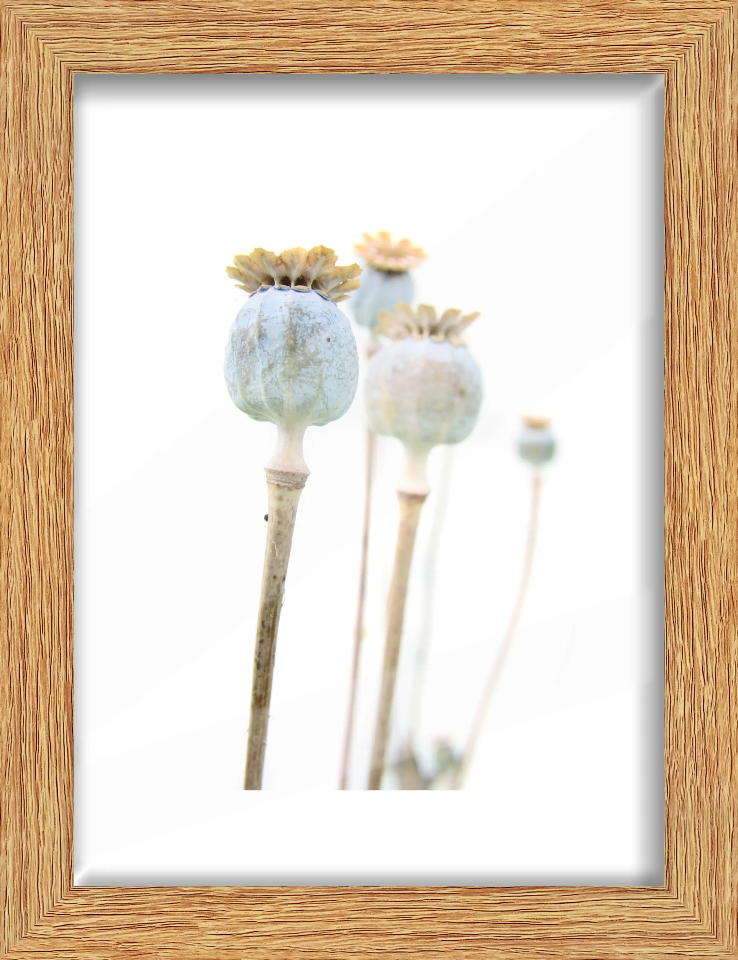 Bilderrahmen Holz Arosa eiche hell 18 x 24 cm