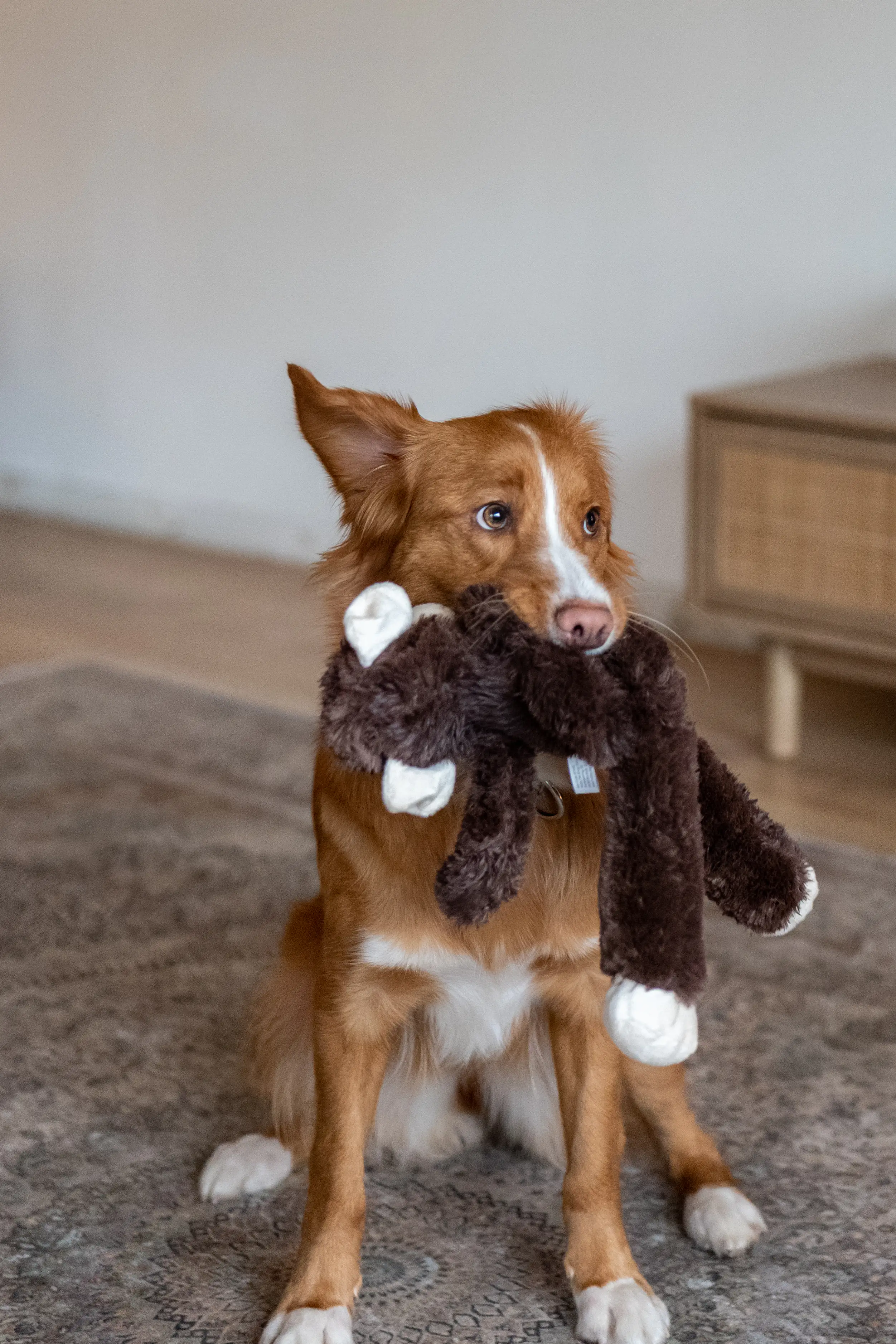 Nobby Hunde Kuscheltier Affe 43 cm