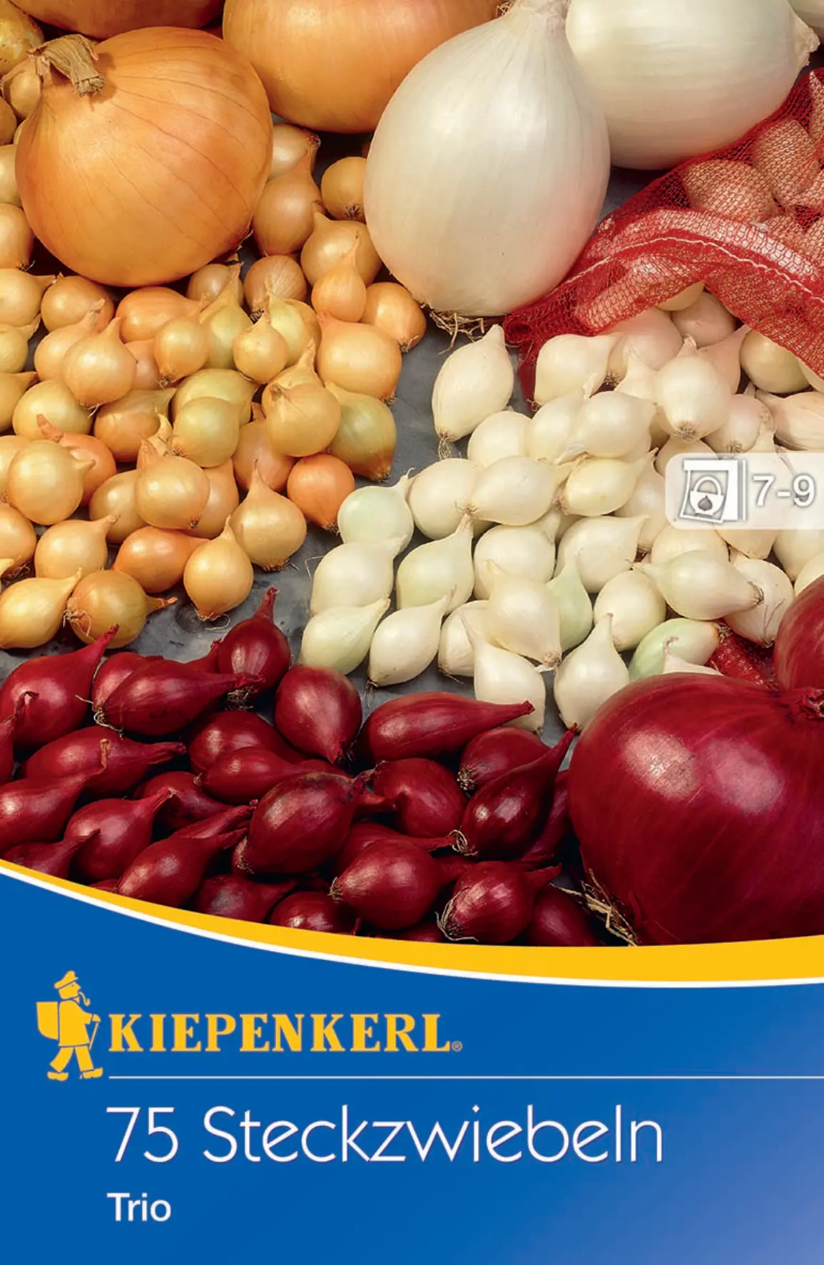 Kiepenkerl Steckzwiebeltrio 75 Stück