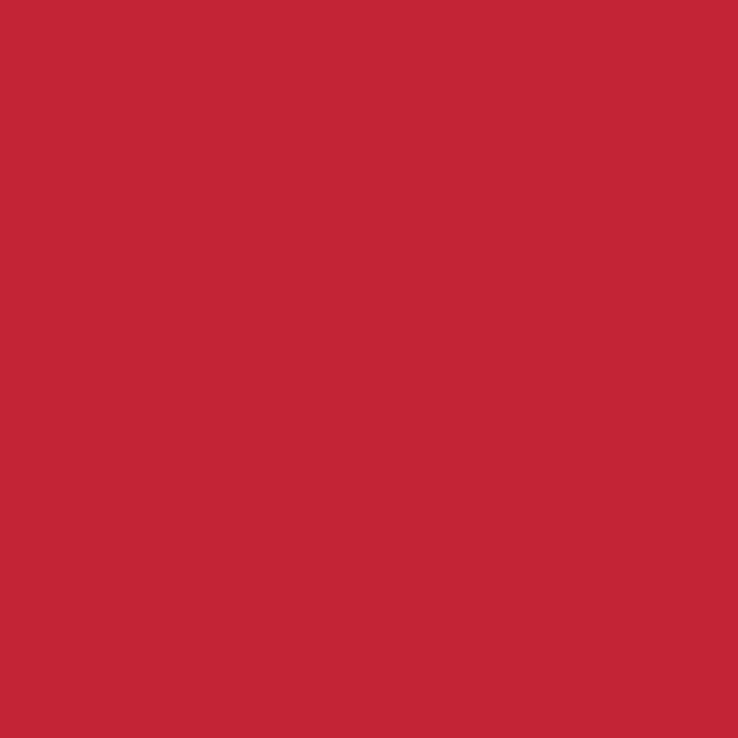 Duni Servietten rot 33 x 33 cm - 50er Pack