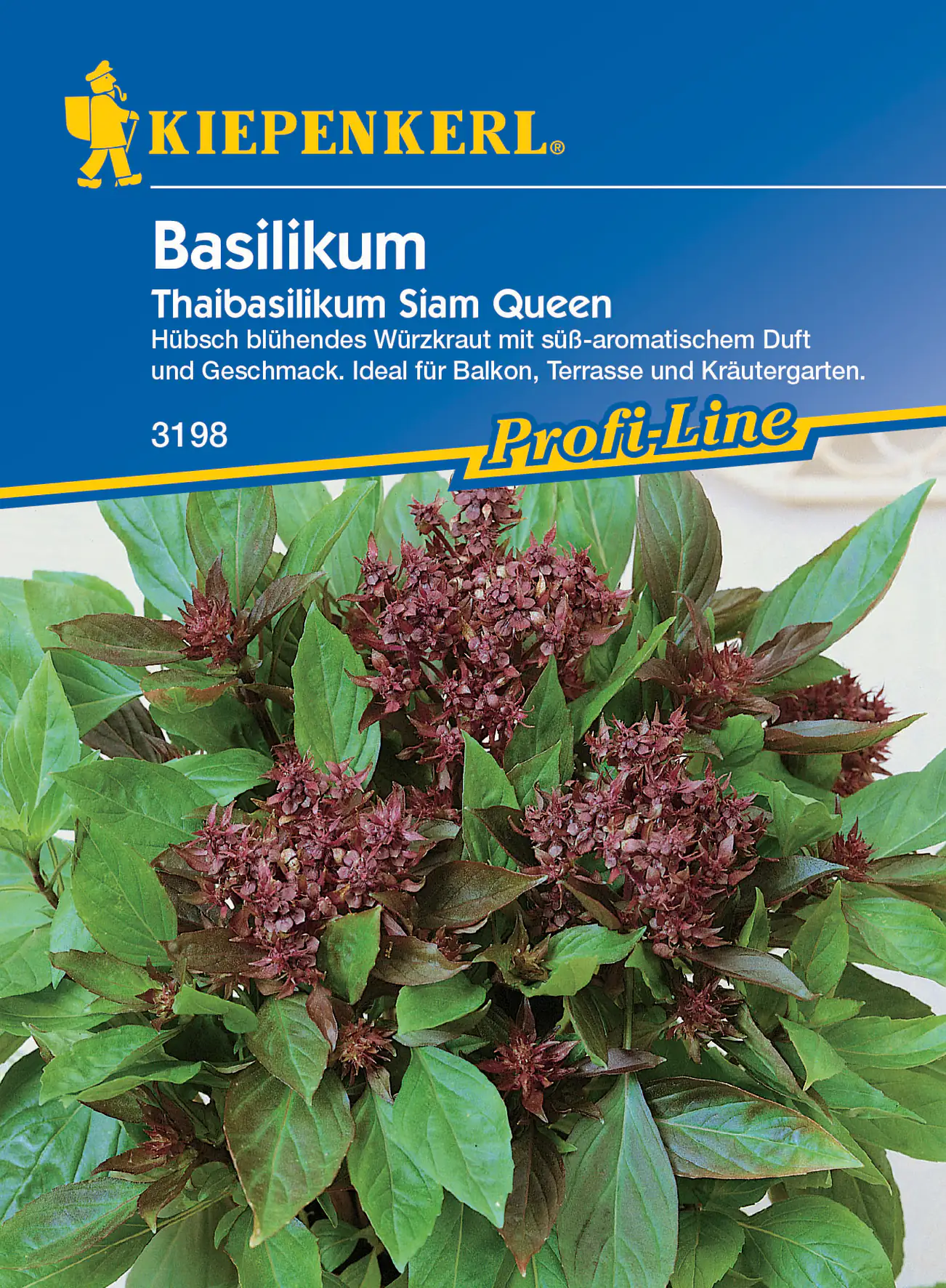 Kiepenkerl Thaibasilikum Siam Queen Kiepenkerl Thaibasilikum Siam Queen