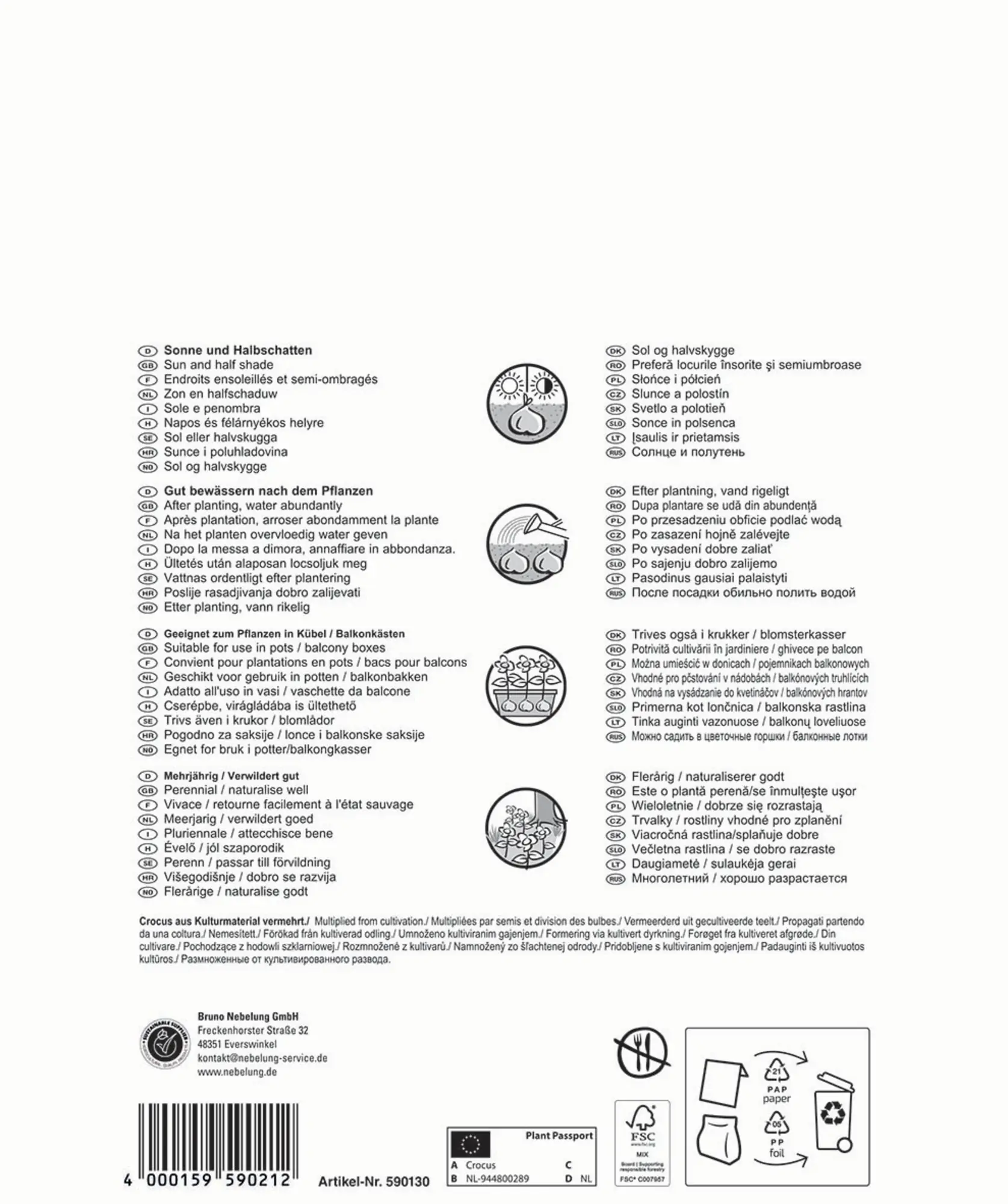 Pegasus Herbstblumenzwiebel Big Bag Botanische Krokus Mischung 50 Stück