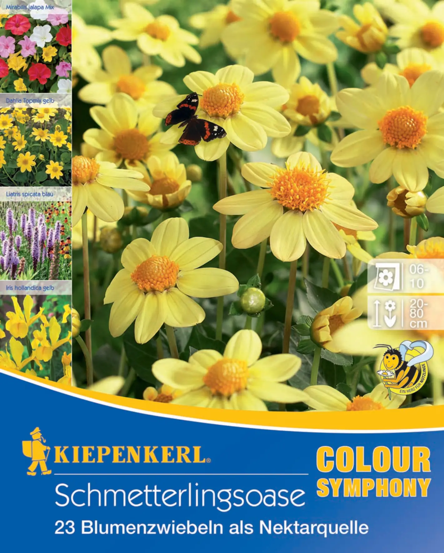 Kiepenkerl Schmetterlingsoase 23 Stück