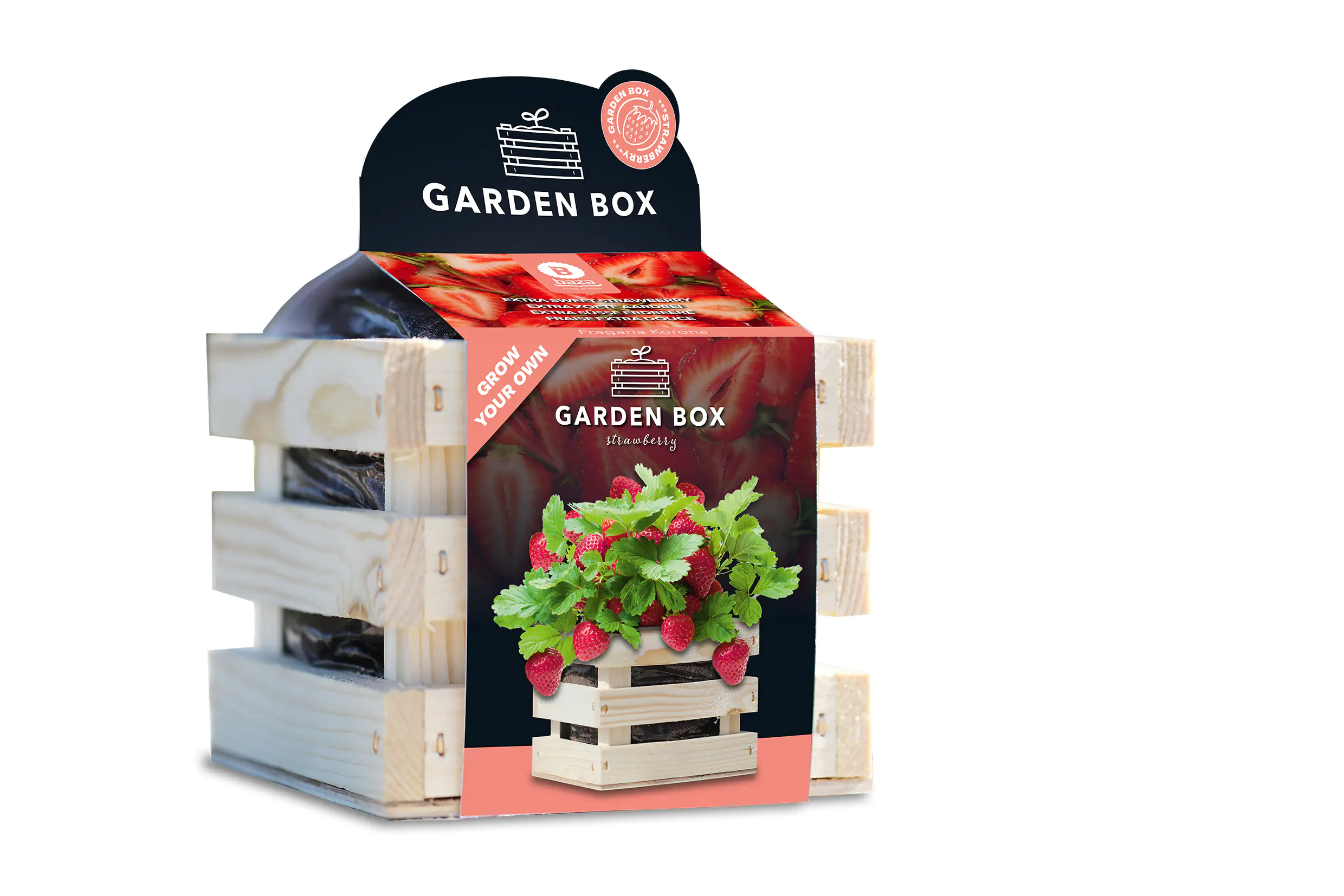 Baza Seeds Garden Box extra süße Erdbeere Baza Seeds Garden Box extra süße Erdbeere