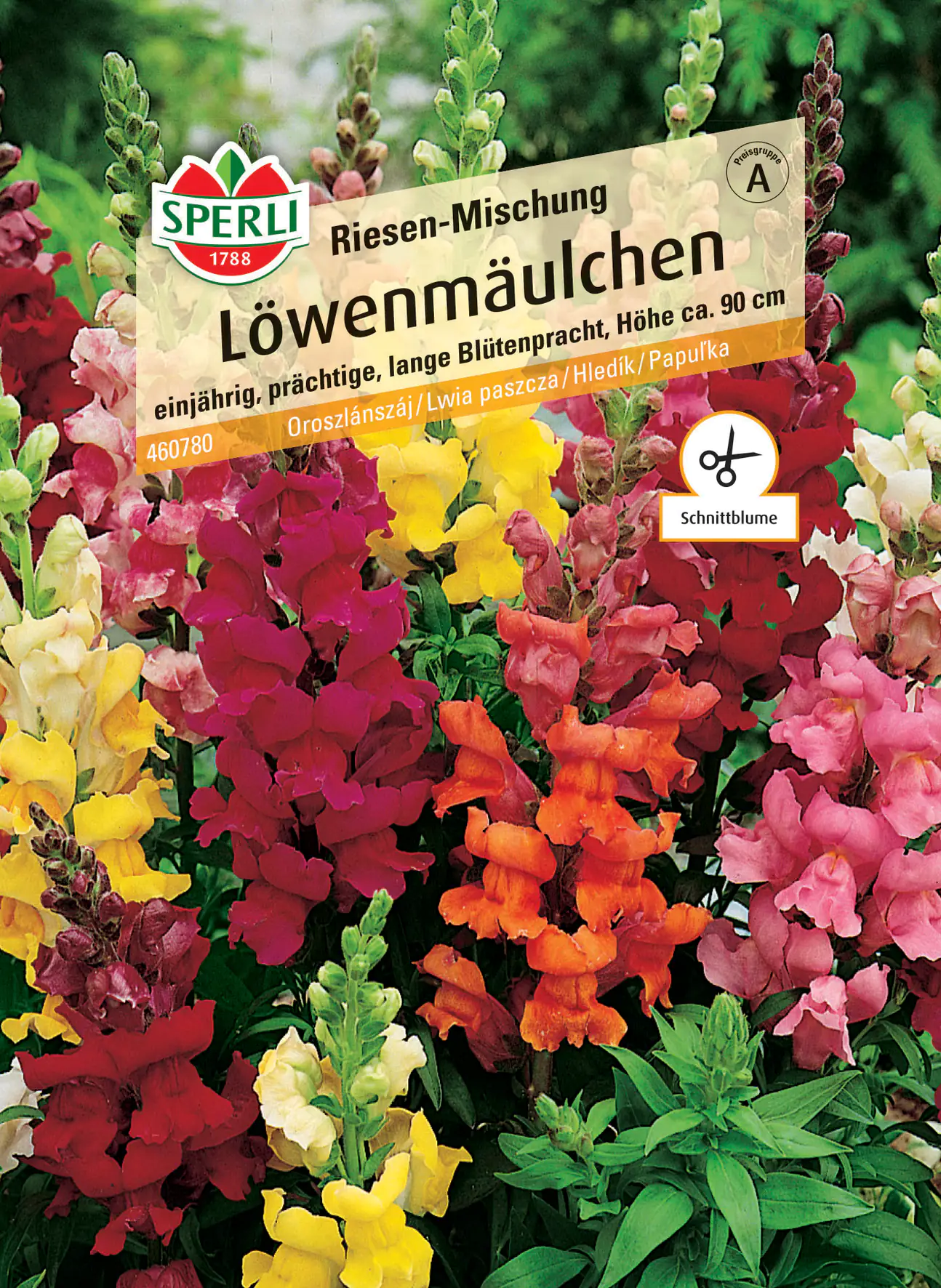 Sperli Löwenmäulchen Riesen Mischung