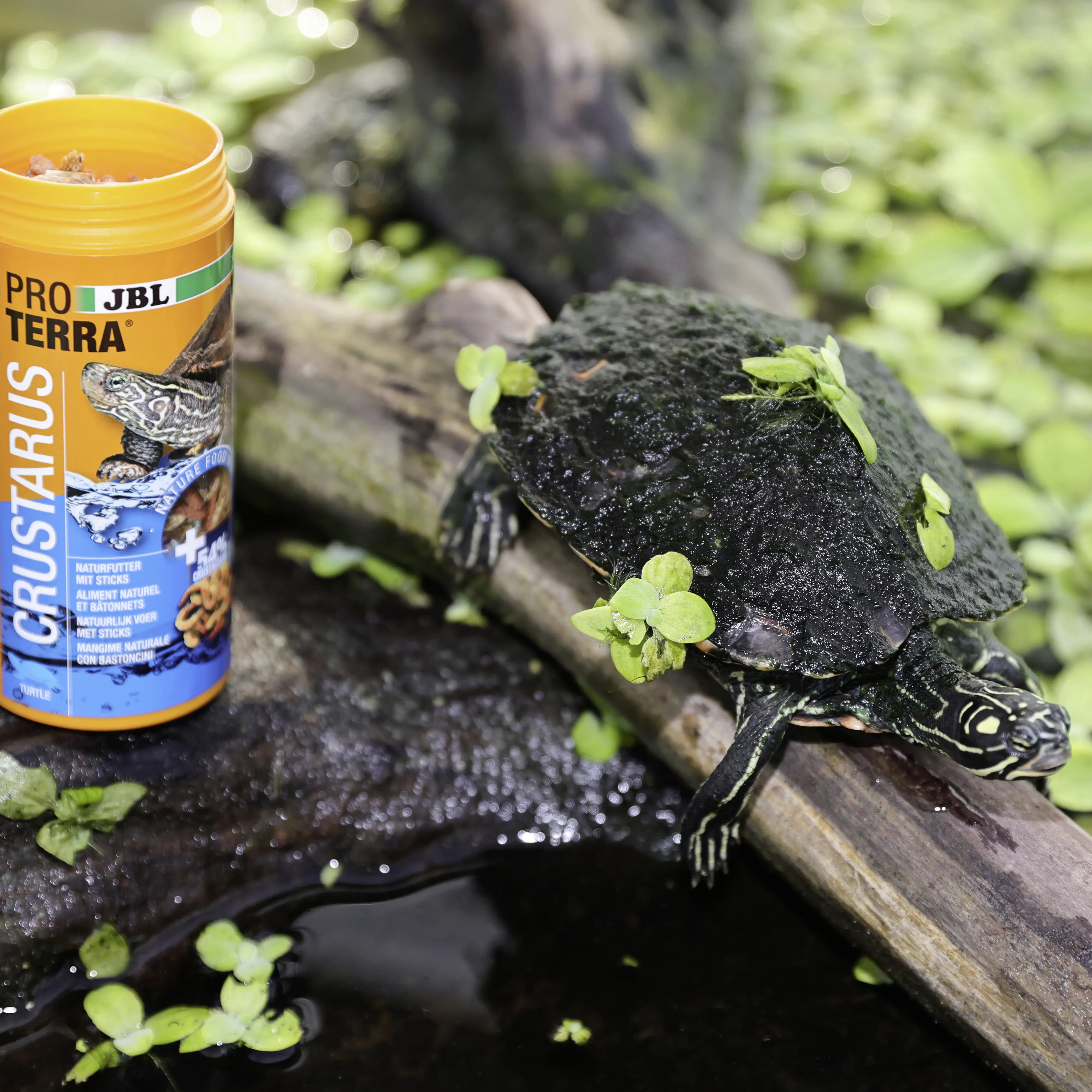 JBL Schildkrötenfutter Proterra Crustarus 250 ml
