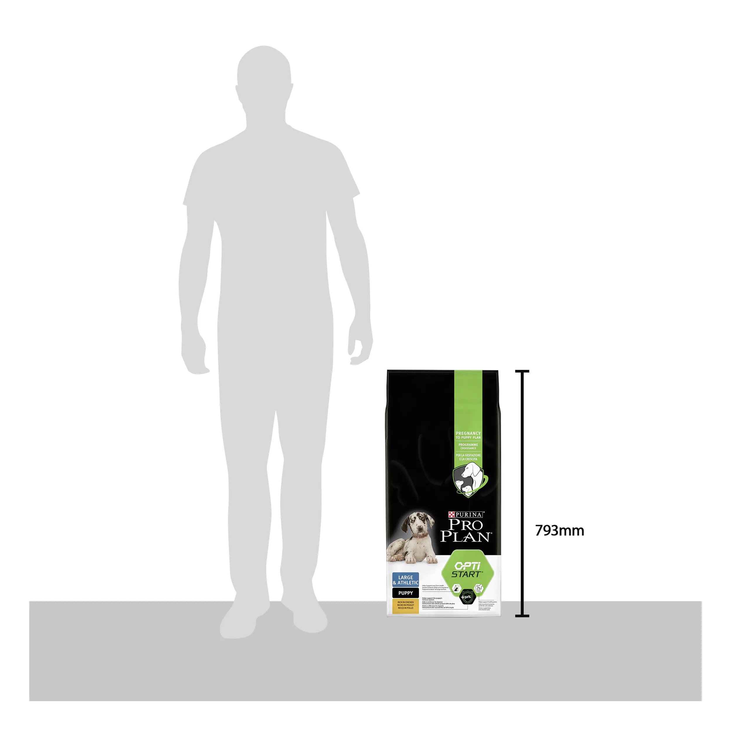 Purina Pro Hundetrockenfutter Junior Maxi Athletic 12 kg Huhn & Reis
