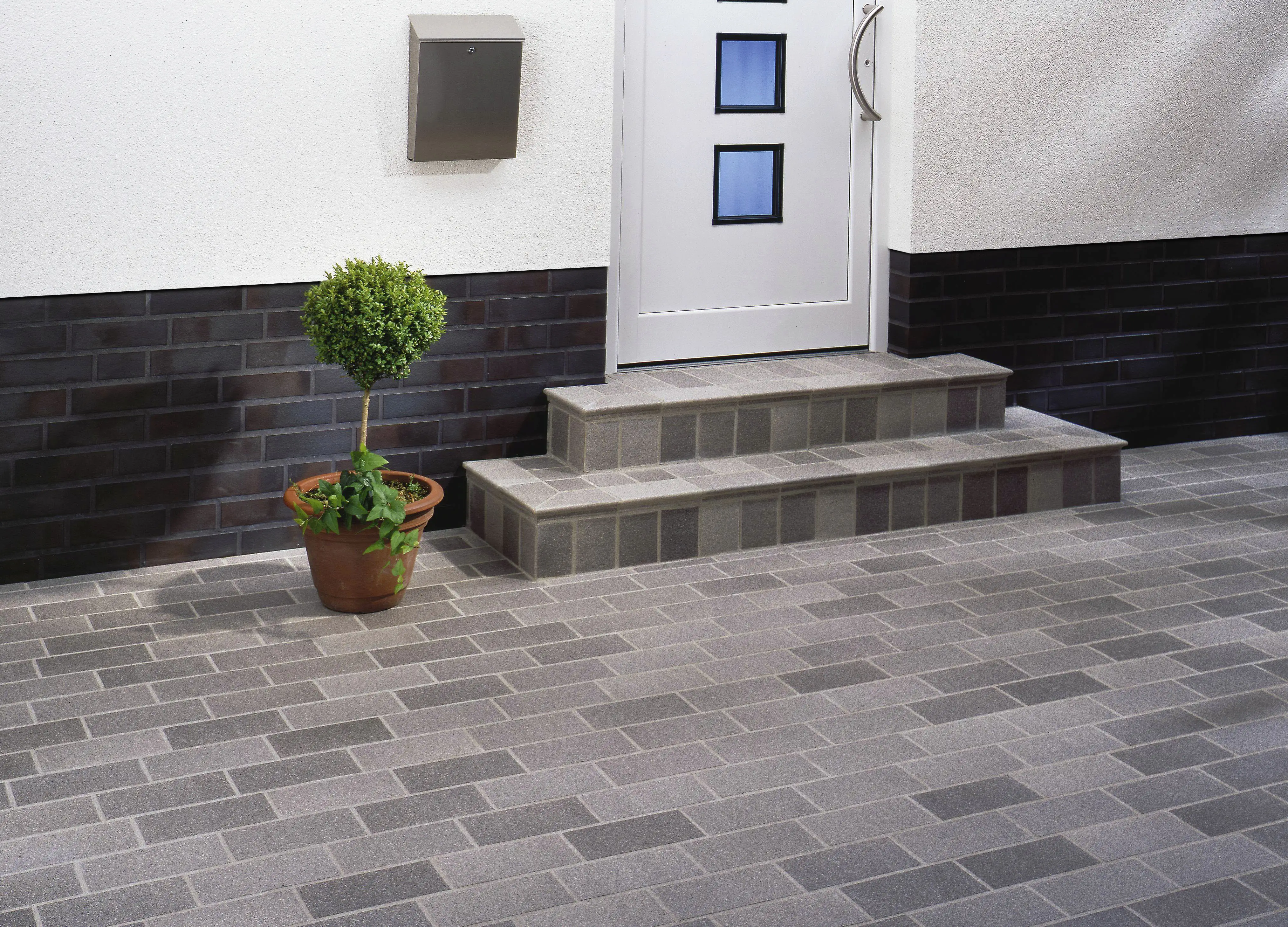 Ammonit Spaltplatte ASS 863 Spaltplatte 24 x 11,5 cm schatten