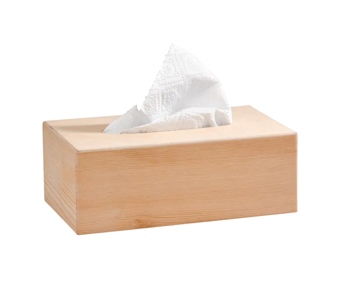 Glorex Kosmetiktücherbox 25 x 13 x 9 cm