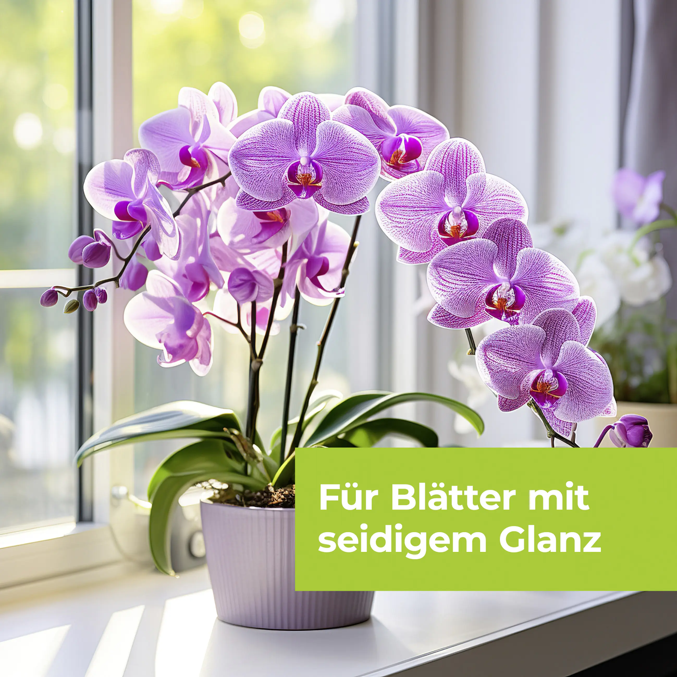 Protect Garden Lizetan Orchideen-Spray AF 500 ml