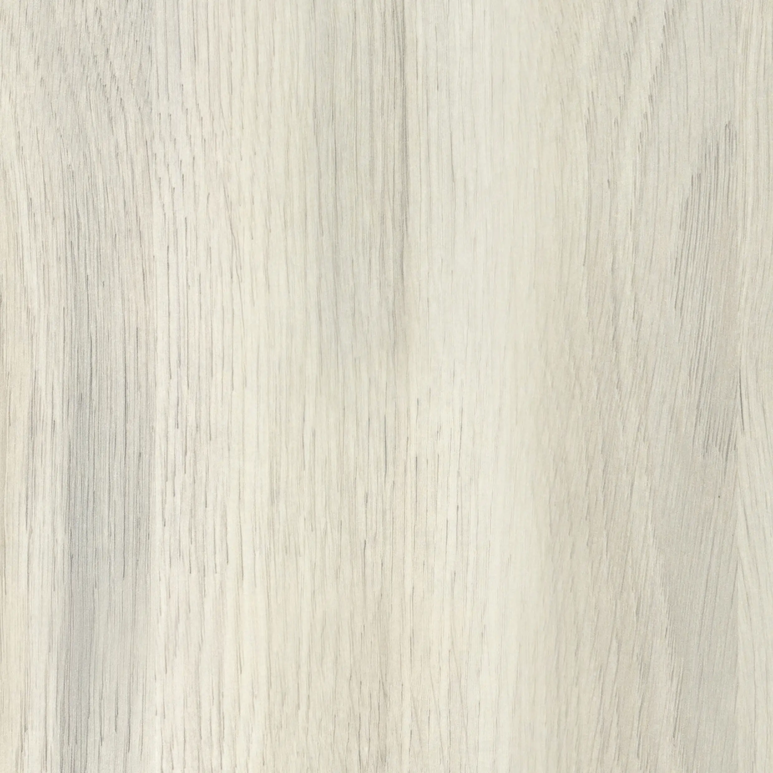 Wetwall Elite Duschrückwand White Oak 16 x 242 cm mit abgerundeter Abschlusskante