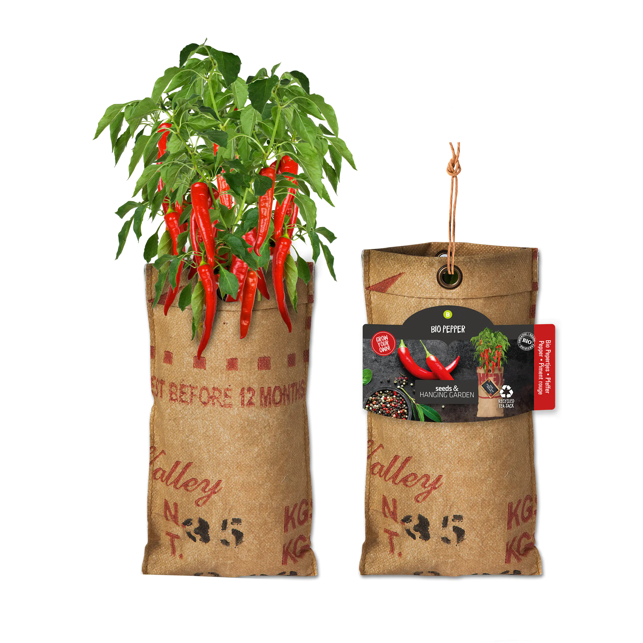 Baza Seeds hängender Garten Bio Cayennepfeffer Baza Seeds hängender Garten Bio Cayennepfeffer