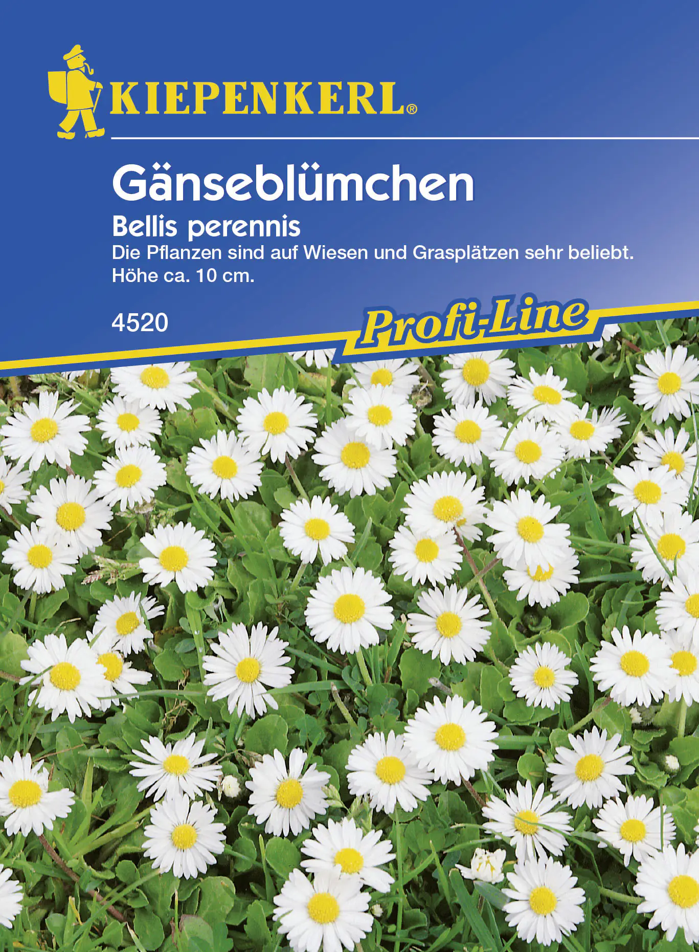 Kiepenkerl Gänseblümchen Bellis perennis, Inhalt: 3 - 5 m² Kiepenkerl Gänseblümchen Bellis perennis, Inhalt: 3 - 5 m²