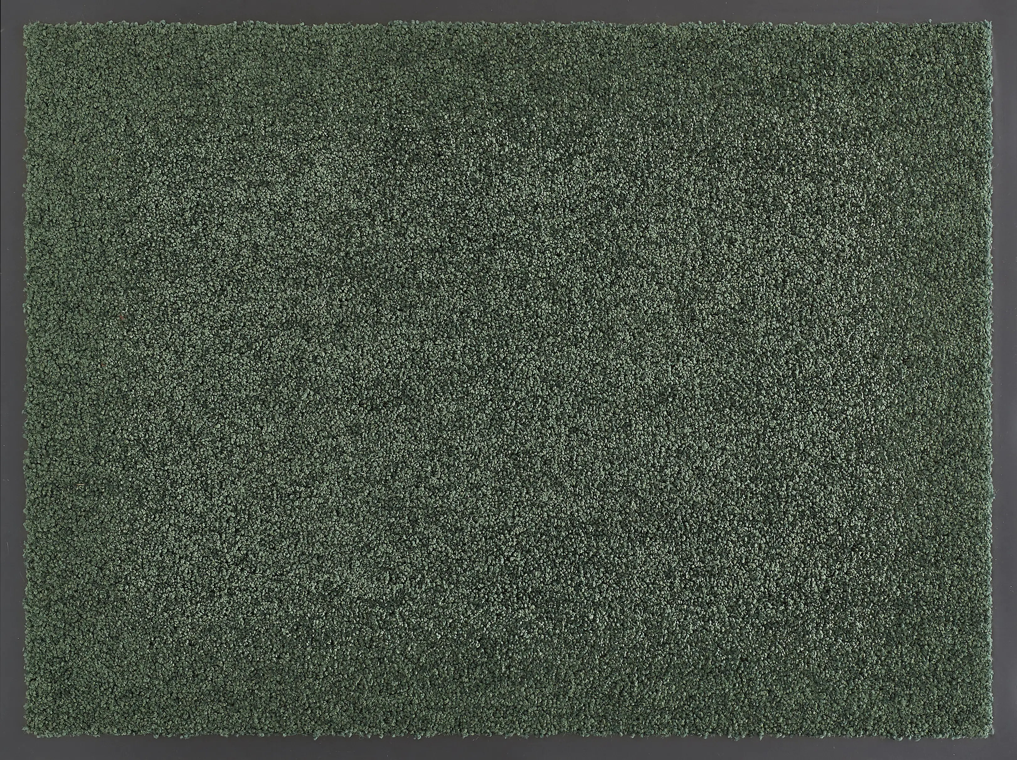 Fußmatte Elektra, dunkelgrün, 40 x 60 cm