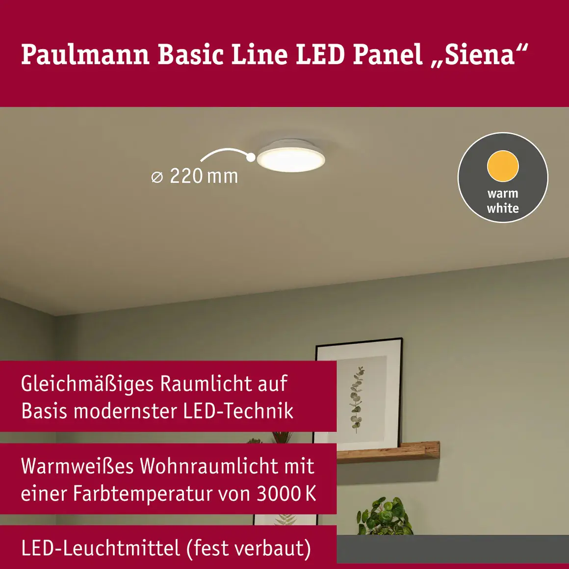 Paulmann LED Deckenleuchte Siena Ø 22 cm 12,3 W warmweiß