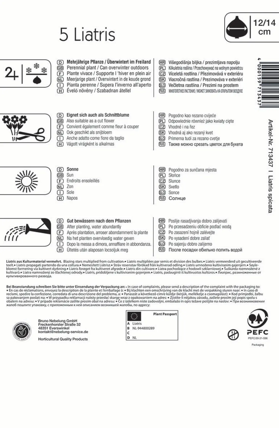 Kiepenkerl Prachtscharte Liatris Blau