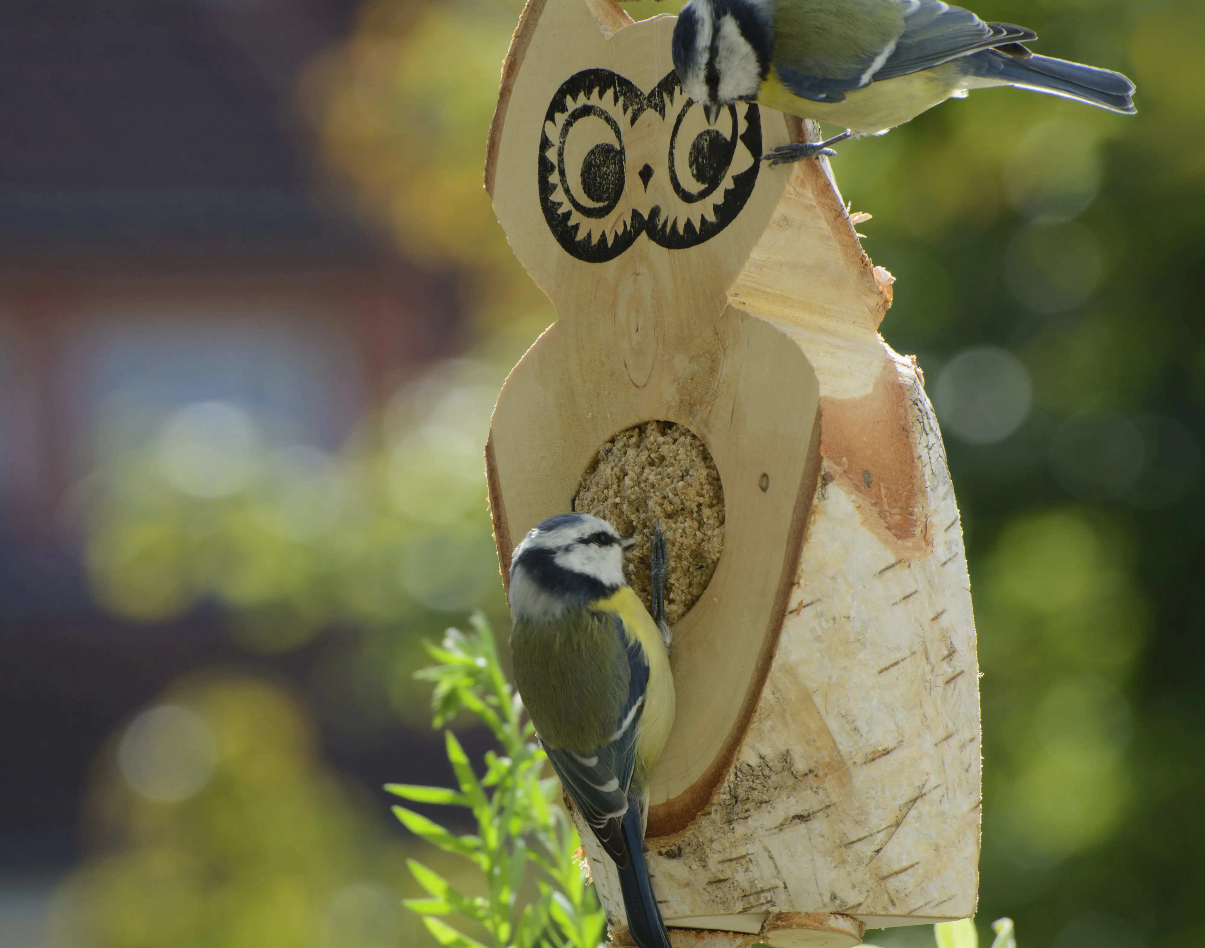 Dobar Vogel Futtereule 36 x 25 x 13 cm braun