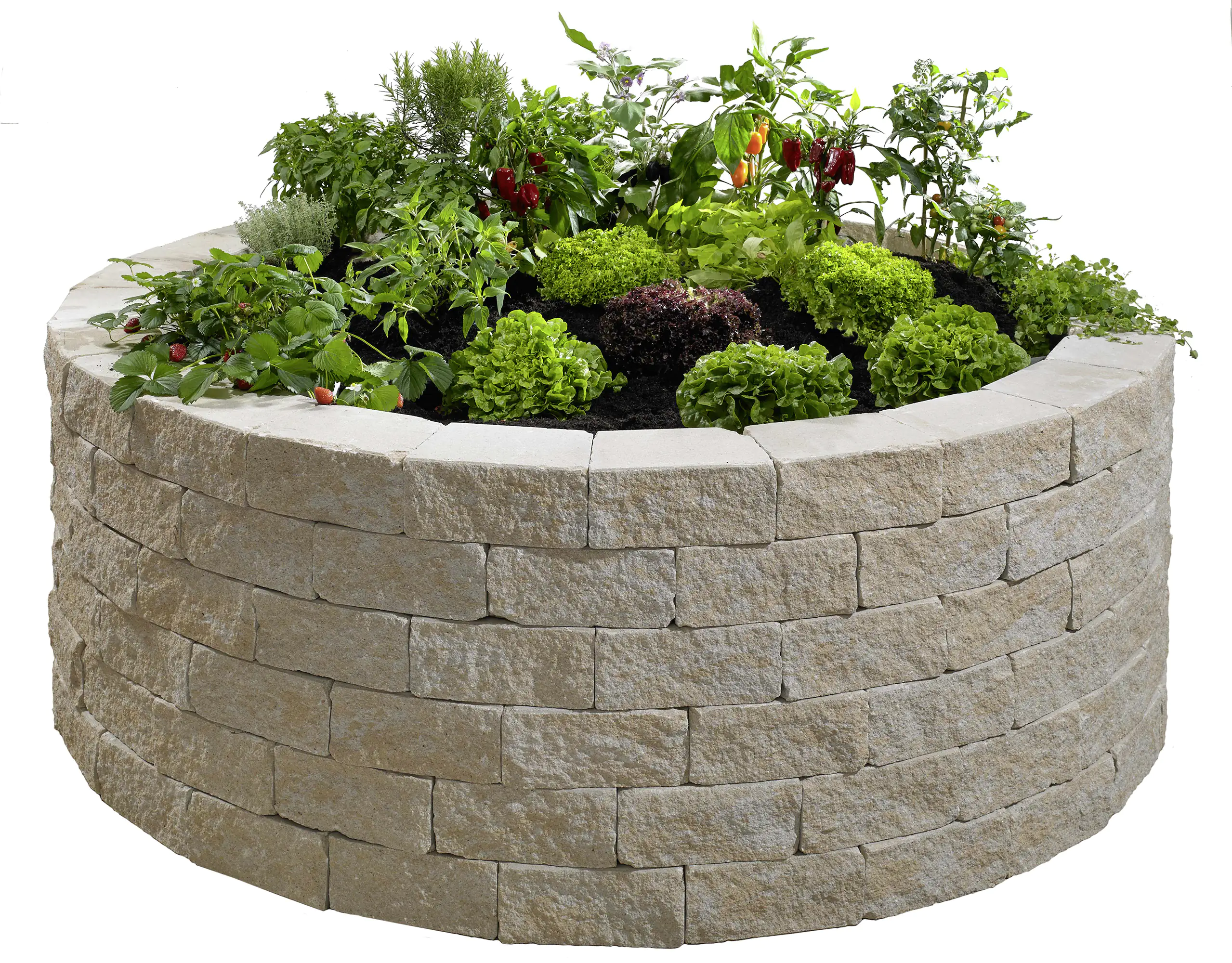 2077881026595_4 Kann Hochbeet-Set Vigneto-Rondell Ø 200 x 72 cm sandsteingelb