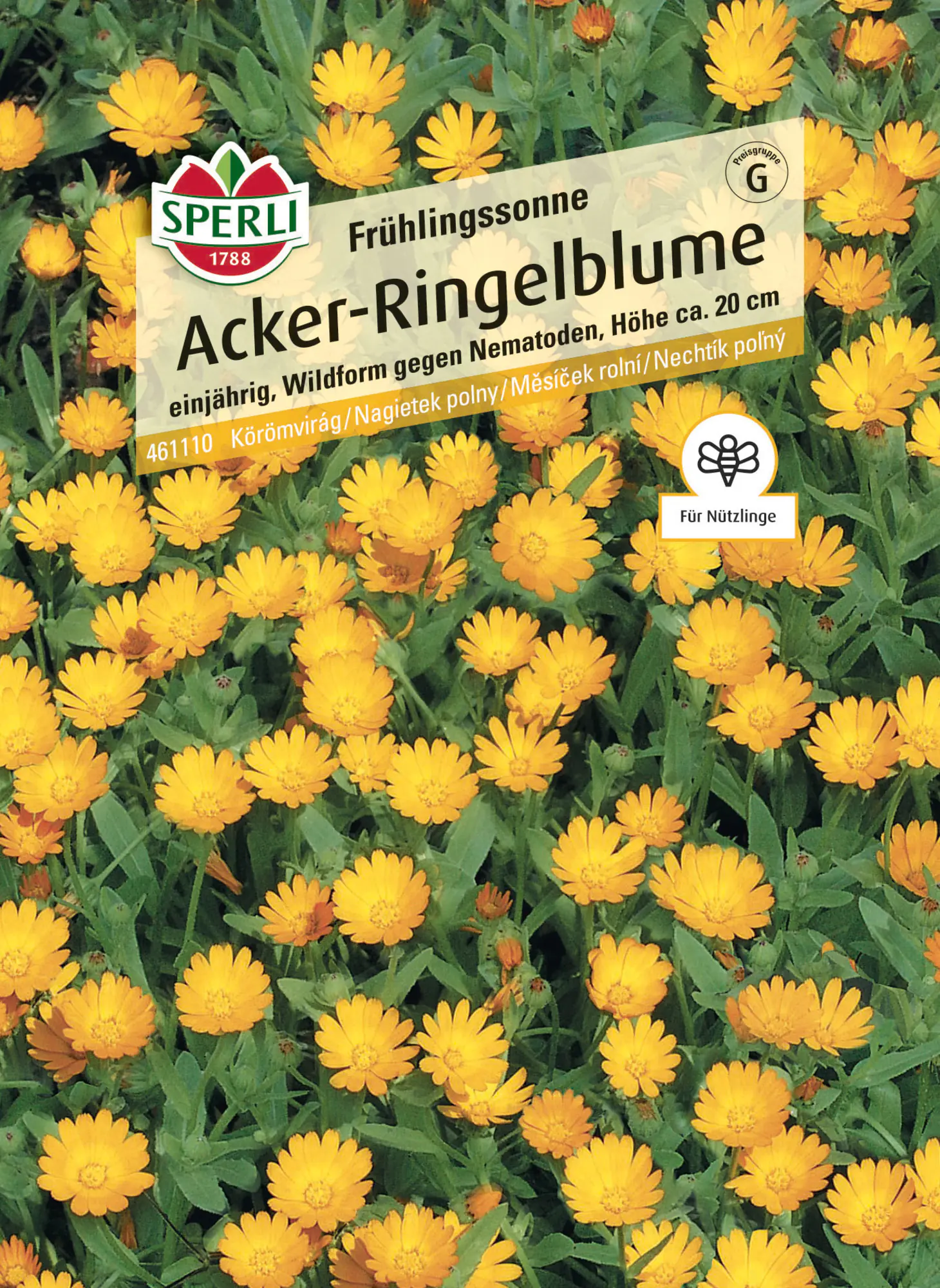 Sperli Saatgut Acker-Ringelblumen Frühlingssonne für ca. 25 Pflanzen