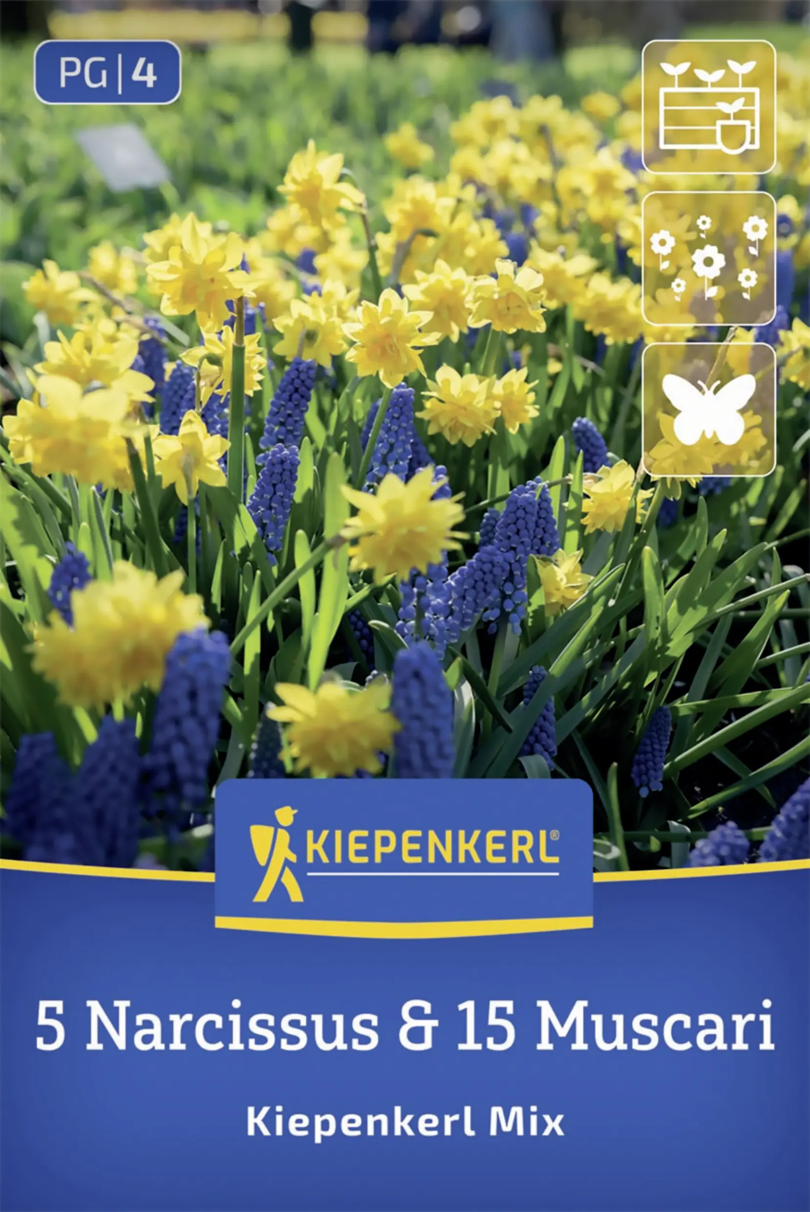 Kiepenkerl Kiepenkerl Mix blau/gelb 20 Stück