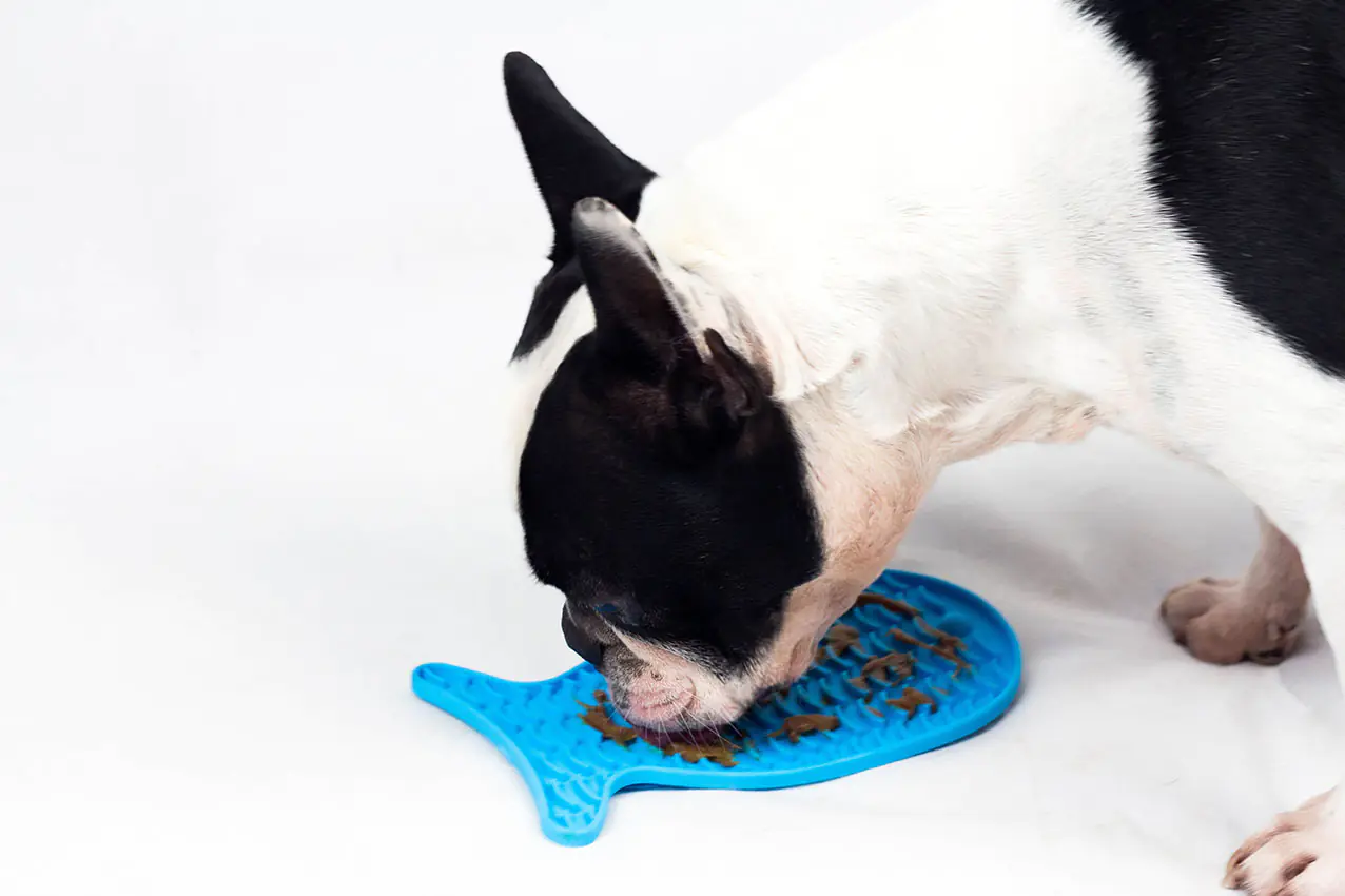 Nobby Leckmatte Silikon Snack-Matte Fish 23 x 13,5 cm blau