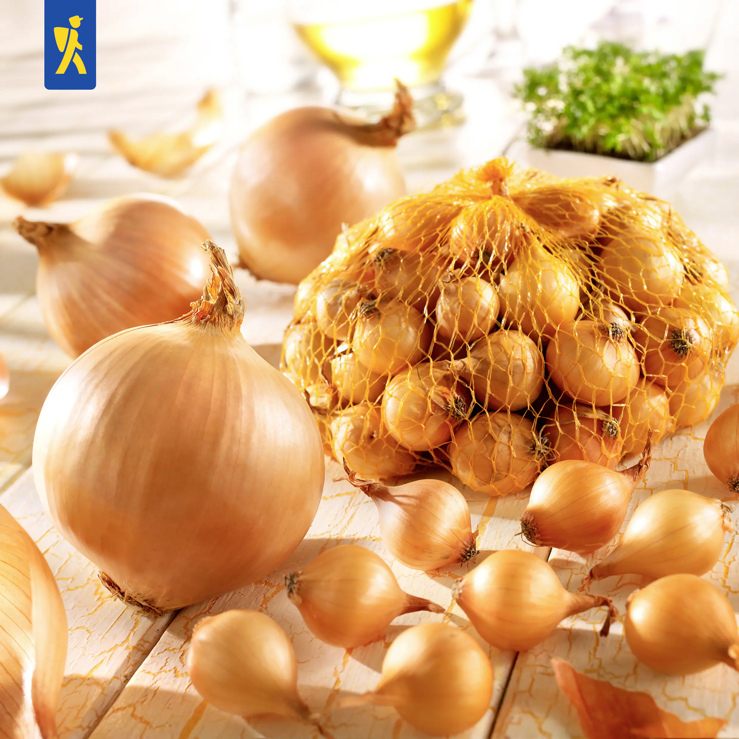 Kiepenkerl Steckzwiebel Stuttgarter Riesen Gr.14/24, 250 g