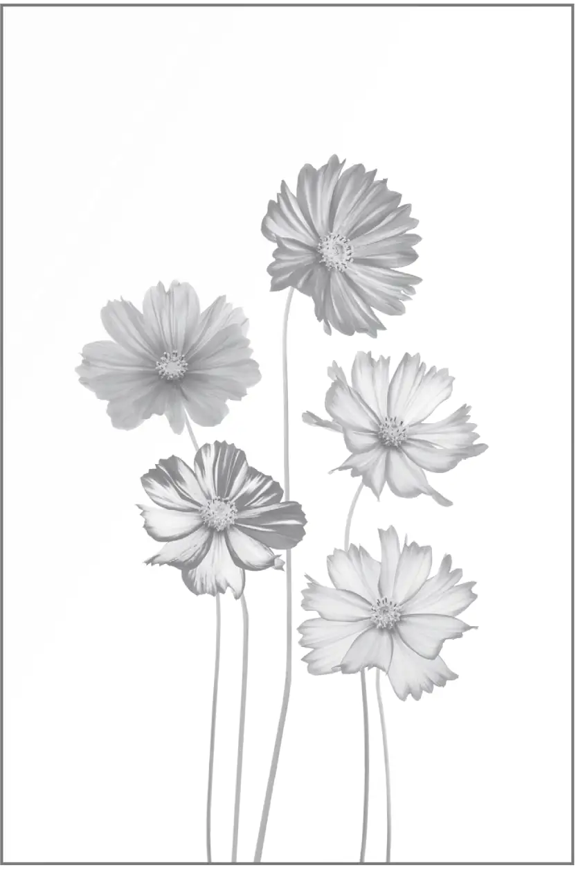 Ambiente Glaszaun Dekor 93 120 x 180 cm gehärtetes 8 mm Glas