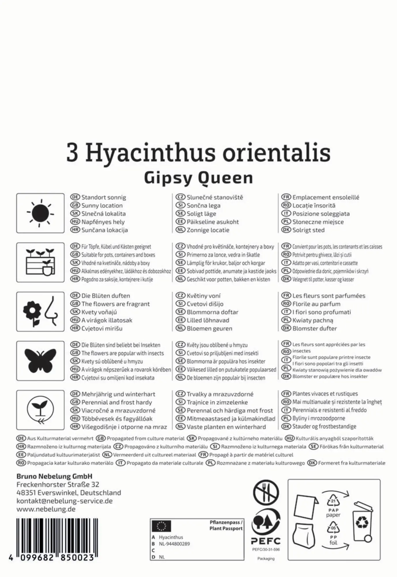 Kiepenkerl Herbstblumenzwiebel Profi-Line Hyazinthe Gipsy Queen 3 Stück