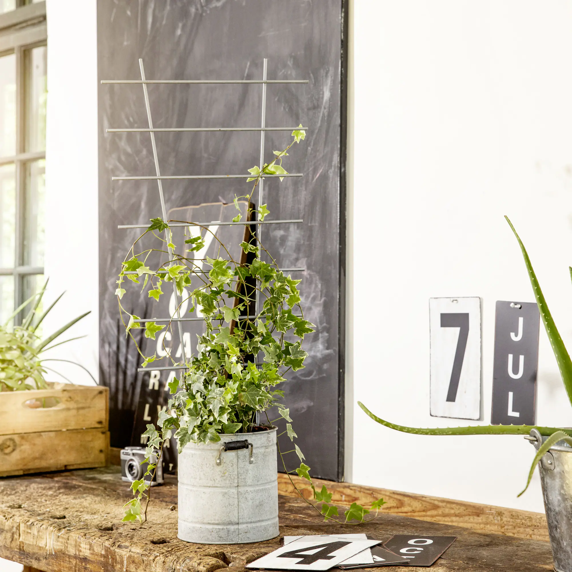 Windhager Blumenstütze 44x24cm 44 x 24 cm