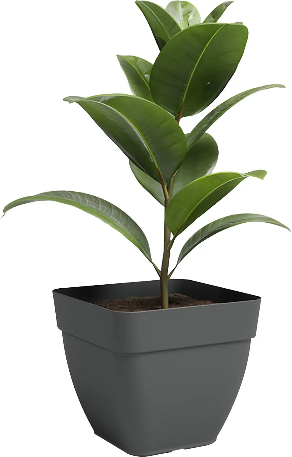 Artevasi Pflanztopf Capri Campana Kunststoff anthrazit matt Ø 37 x 34 cm