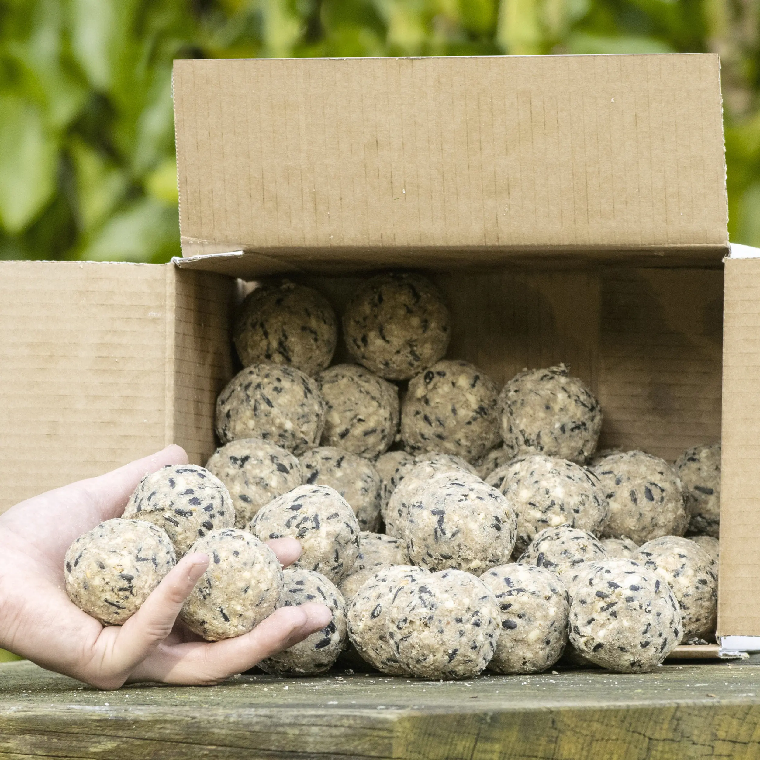 Wildvogelfutter Meisenknödel ohne Netz 100 Stück
