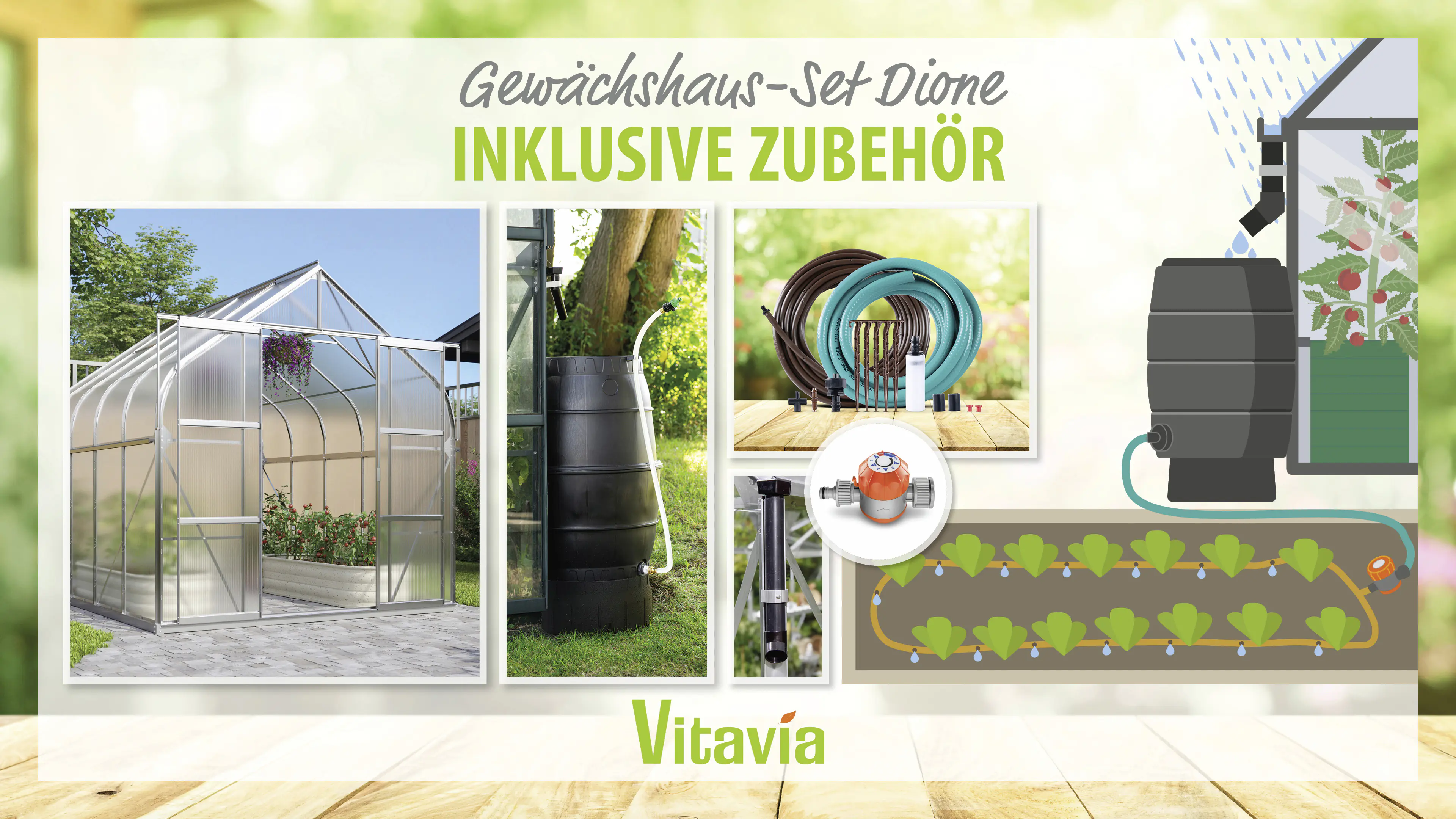 Vitavia Gewächshaus-Set Dione 8300 HKP 4 mm alu 254 x 316 cm 