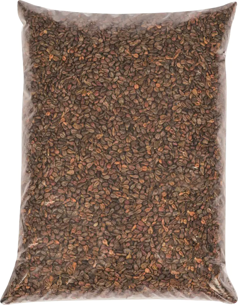 Glorex Traubenkerne 500 g